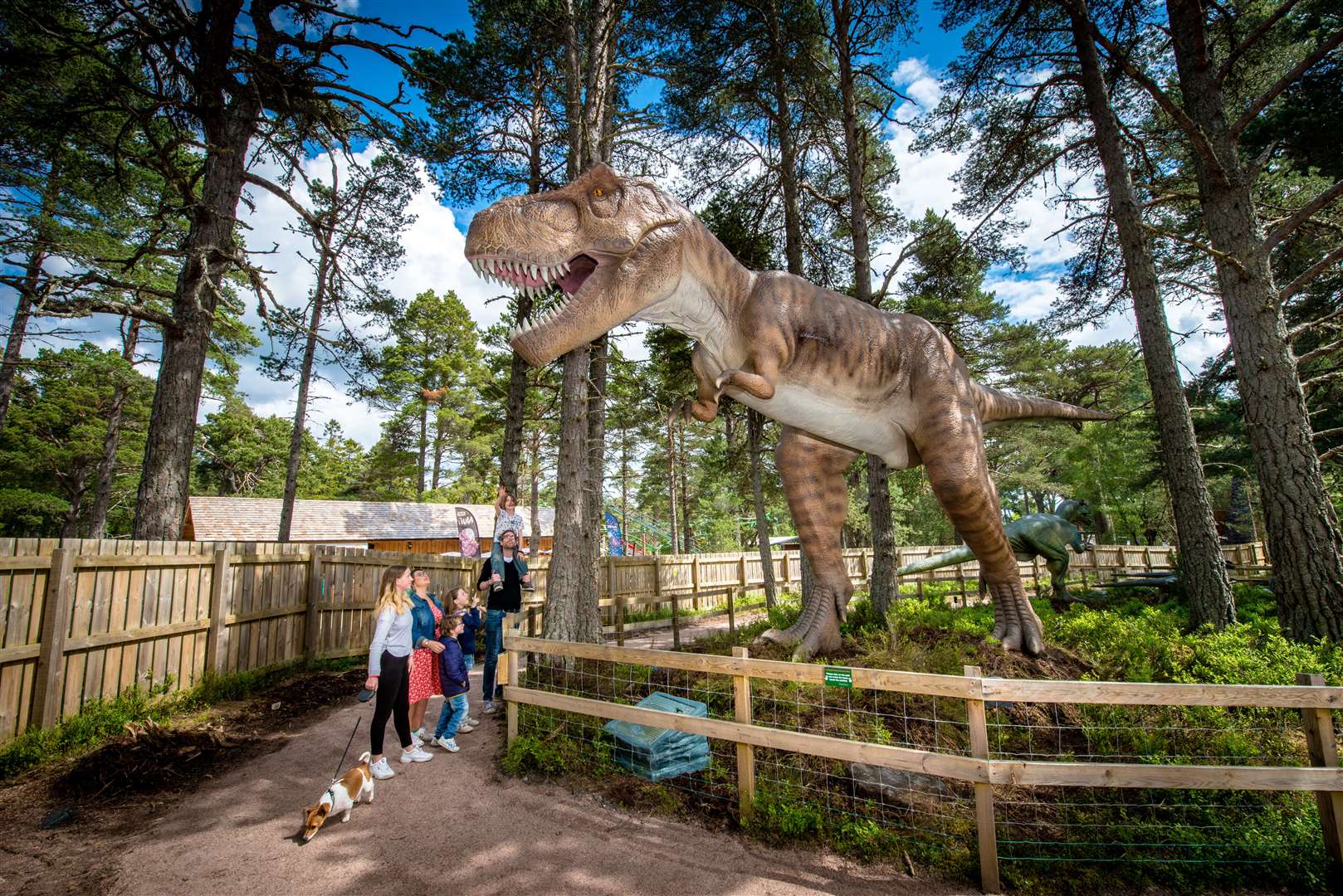 Dinosaurs at Landmark Forest Adventure Park.