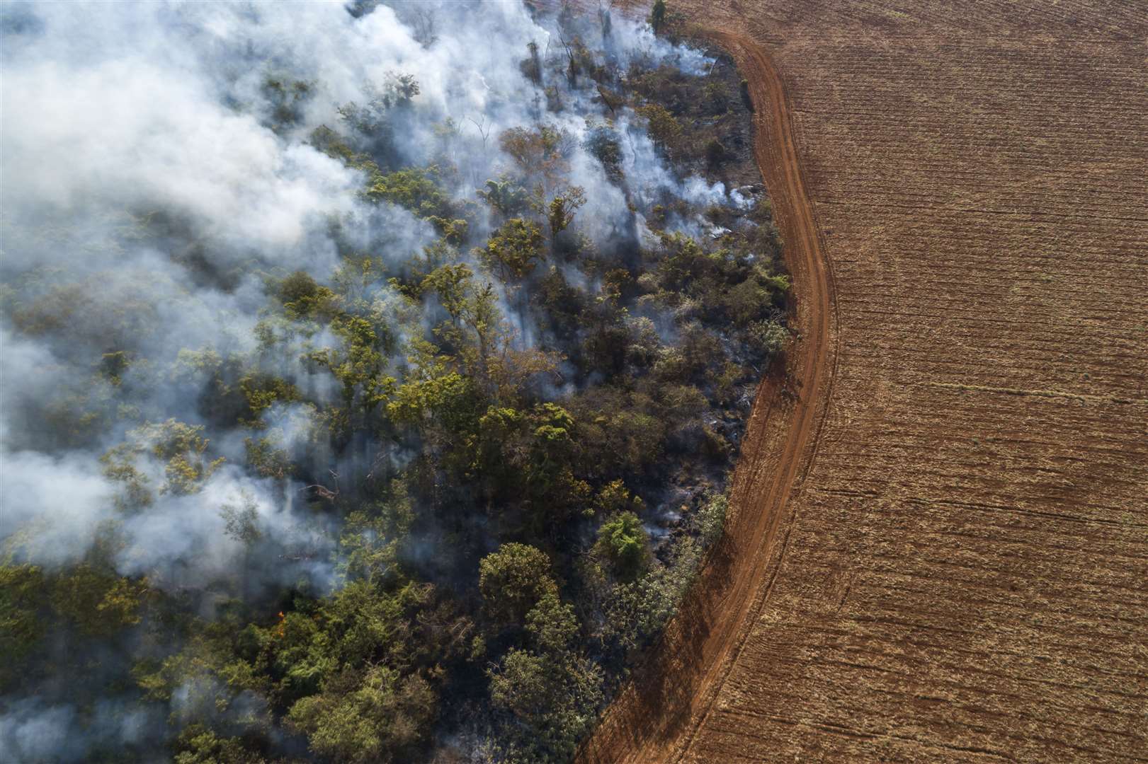 WWF is calling for an end to global subsidies that incentivise deforestation (Andre Dib/WWF)