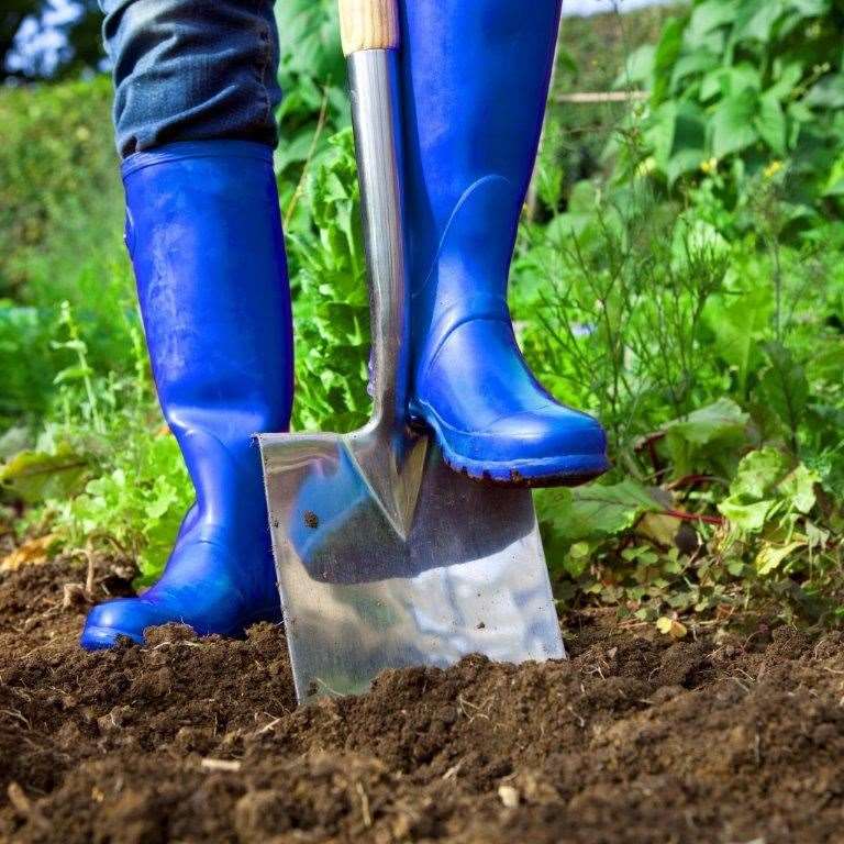 Digging in the garden.