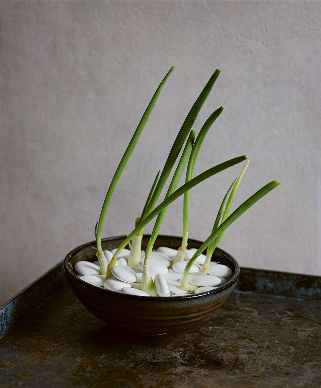 Spring onions growing in a bed of pebbles in water. Picture: Kim Lightbody/PA
