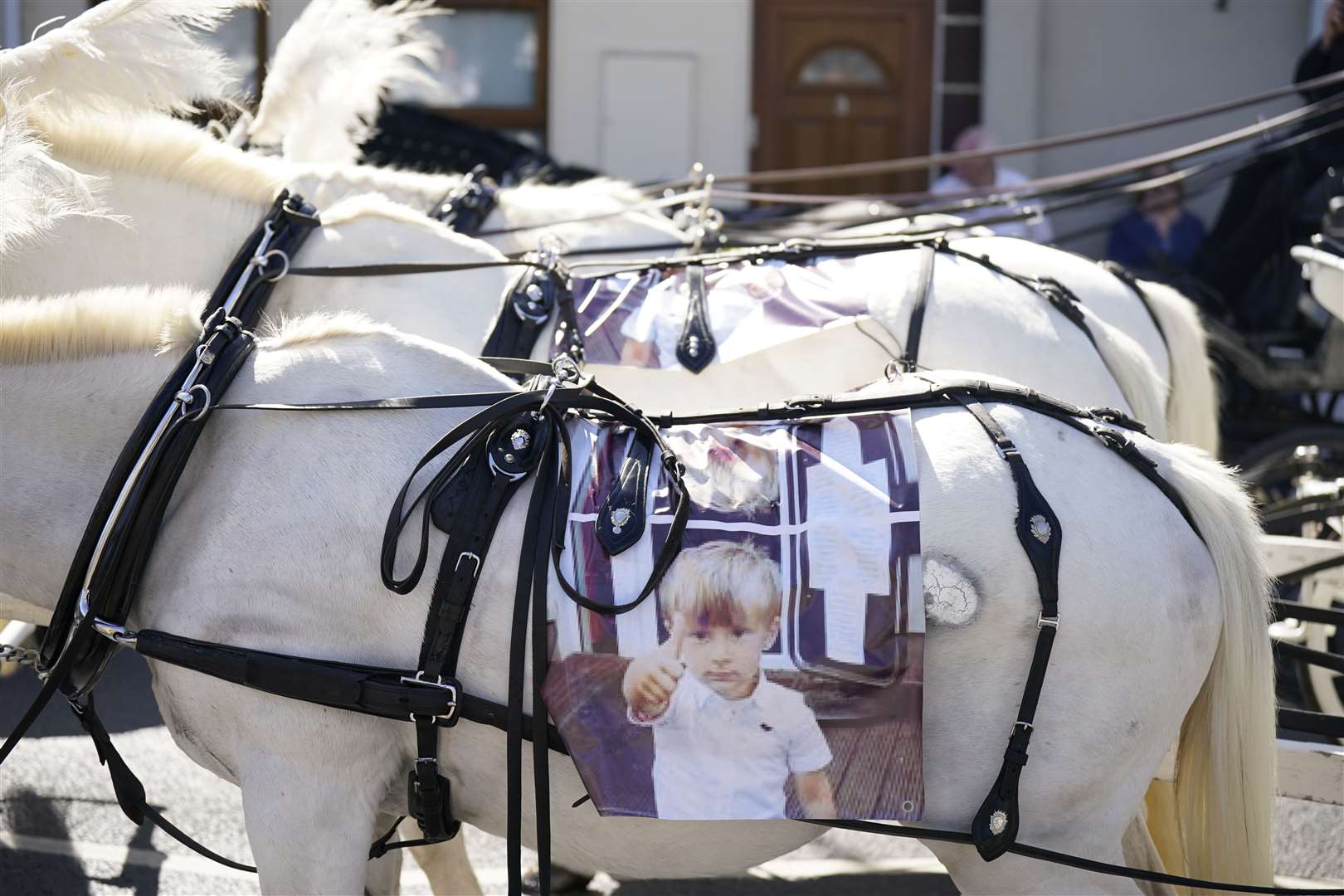 A picture of three-year-old grandson Tom Reilly on the side of a horse-drawn carriage (Niall Carson/PA)