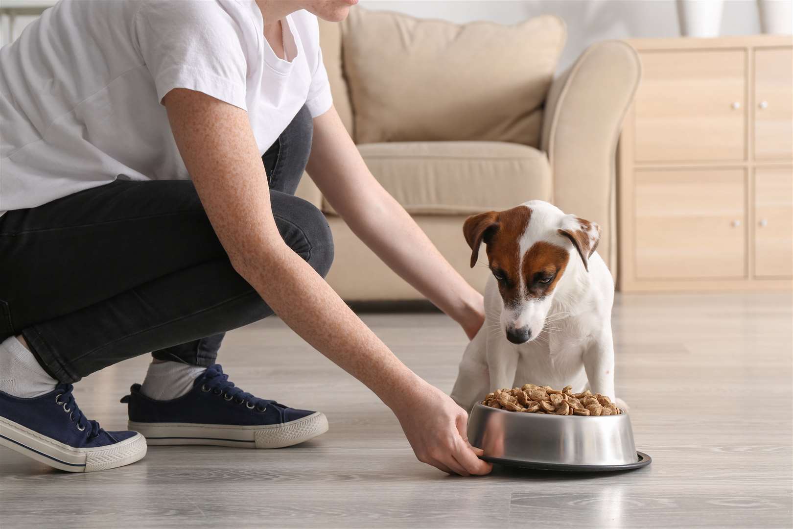 Ensuring your pet is fed the correct diet, and quantity of food, is vital to avoid obesity.