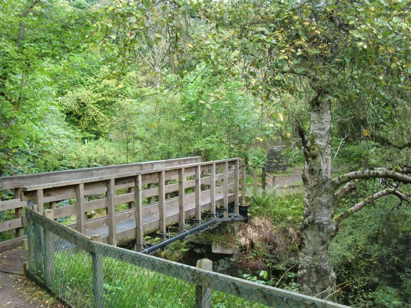 This bridge spans the Gynack Burn at the start of the walk.