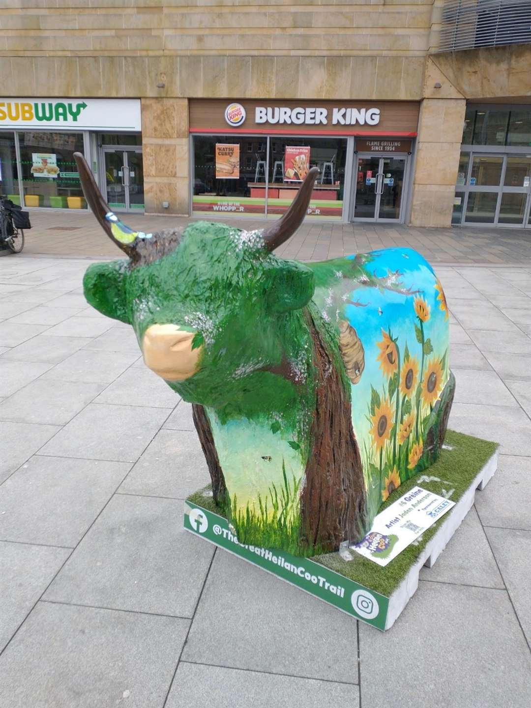 Highland Hospice's damaged coo in Falcon Square.