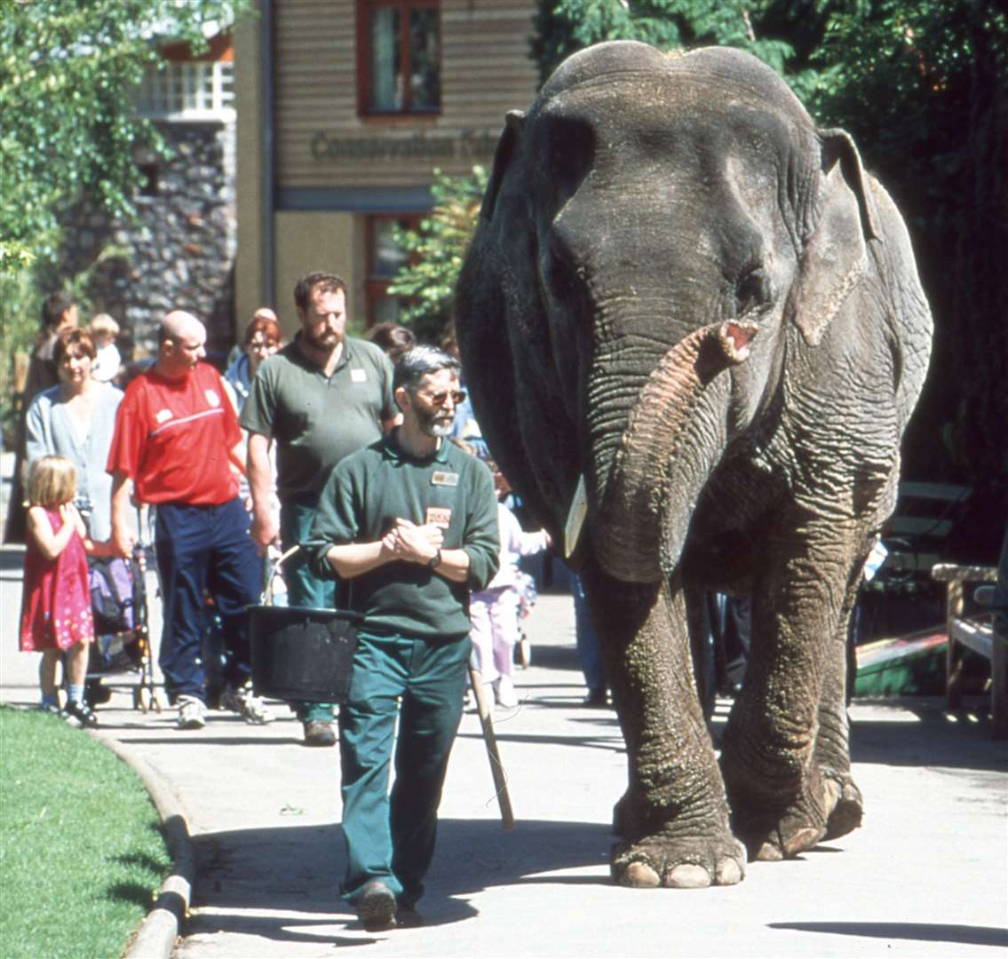 Wendy the elephant was very popular with visitors to the zoo for many years and was taken for walks on Whiteladies Road (Bristol Zoo Gardens/PA)