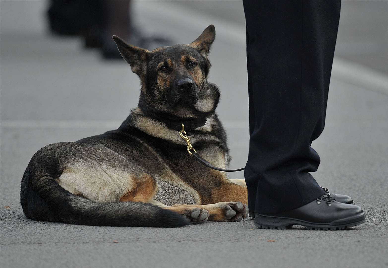 A Metropolitan Police dog by its handler’s feet (Nick Ansell/PA)