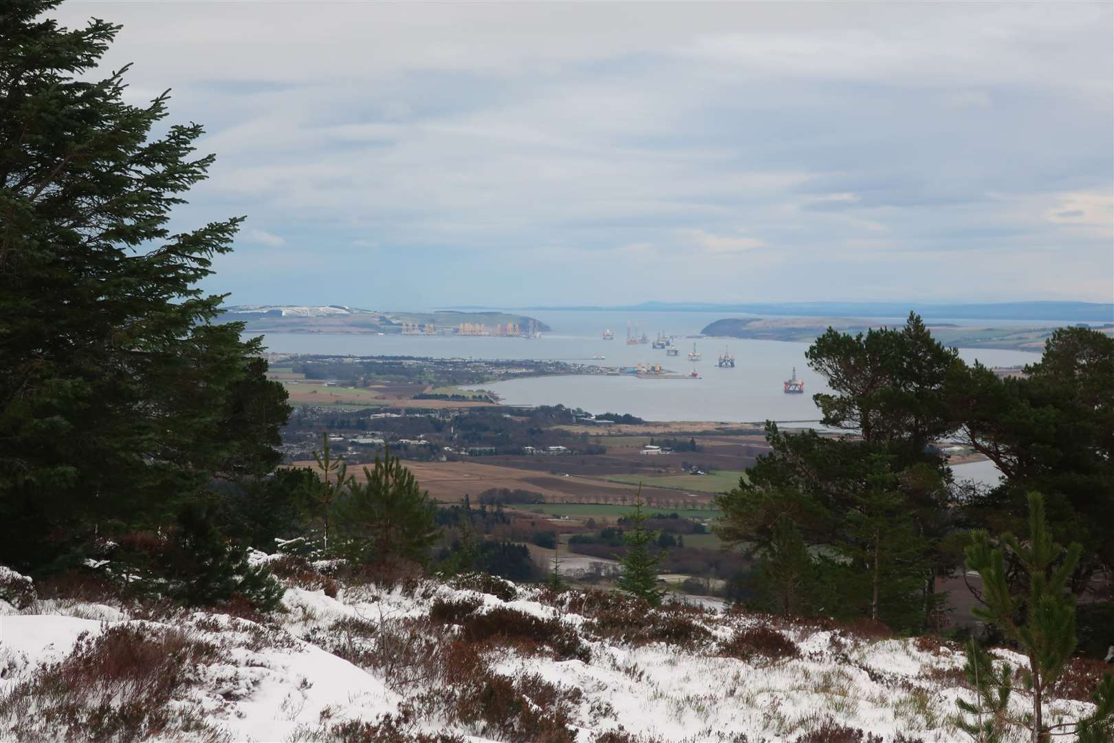 Overlooking the Cromarty Firth - complete with oil rigs and jackets for wind turbines - from the top track on Creag Ruadh.