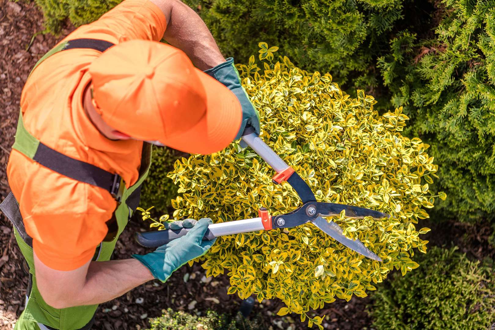 Consider your posture when pruning and trimming shrubs. Picture: iStock/PA