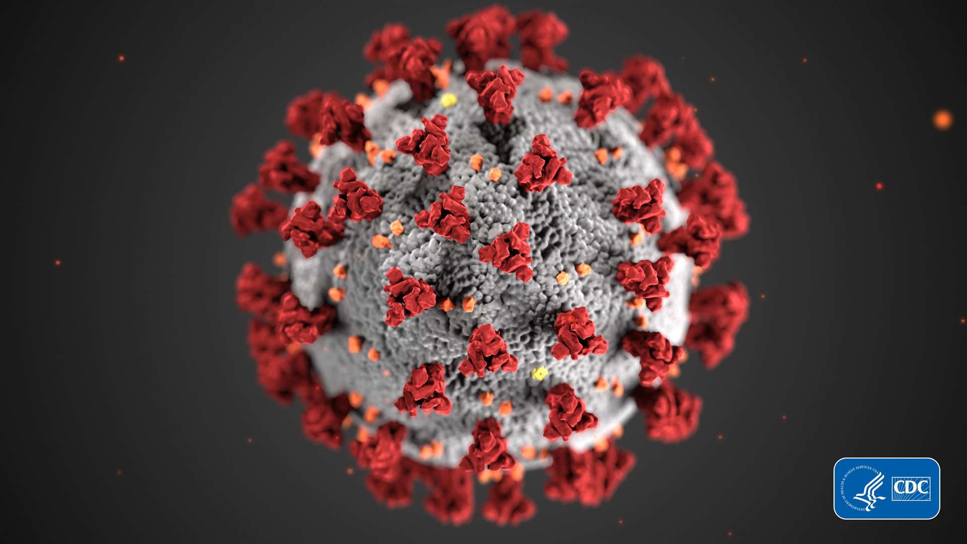 An impression of Covid-19, also known as coronavirus.