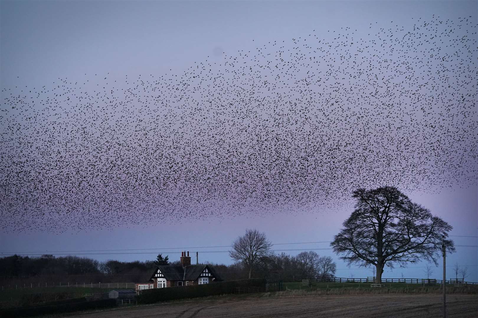 A murmuration of starlings at dusk over Catterick, North Yorkshire (Owen Humphreys/PA)
