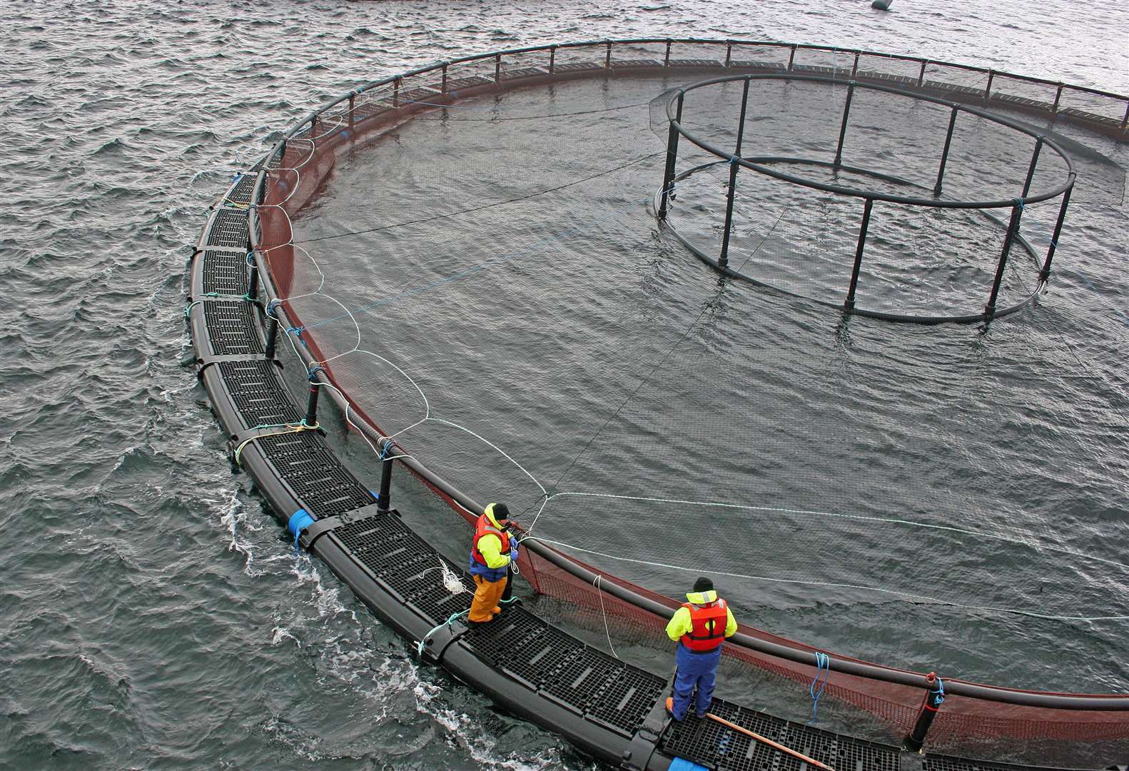 Gael Force Marine is investing also £1 million to develop new fish farming pens which can be used in open sea.