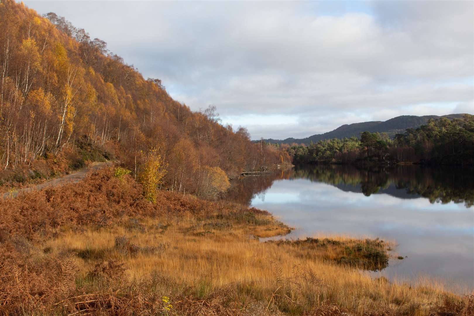 Golden colours of autumn shine bright alongside the east end of the loch.