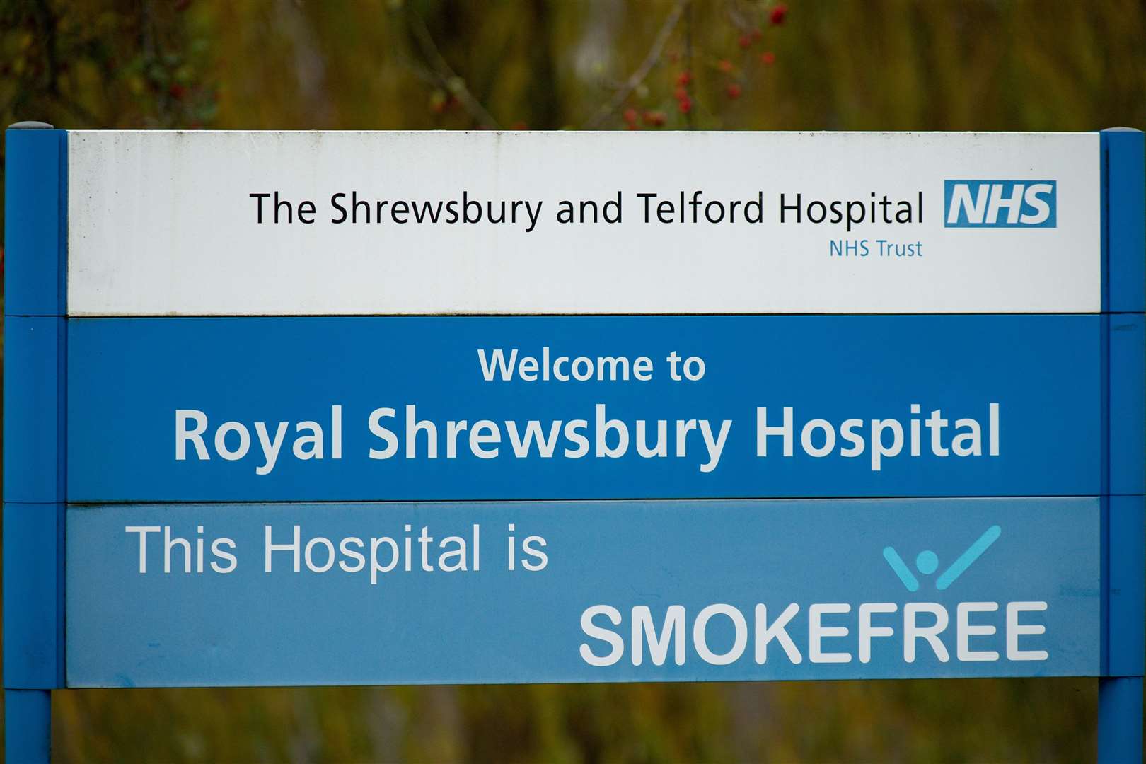Susan Docherty was admitted to the Royal Shrewsbury Hospital. (Jacob King/PA)