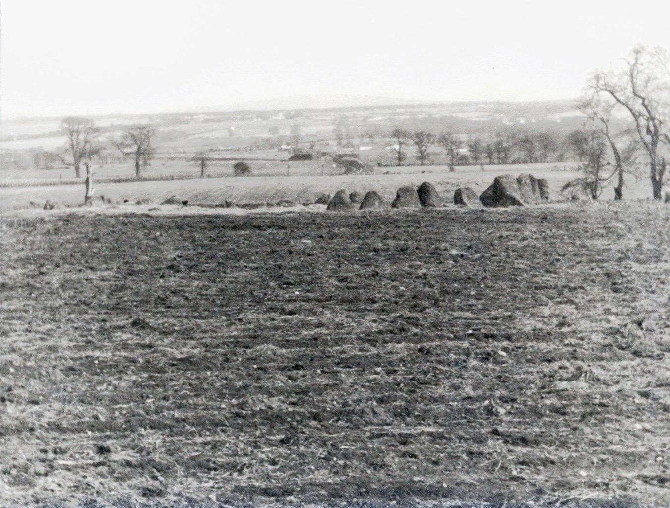 A photograph of Raigmore Stone Circle, c.1960 Edward Meldrum, courtesy of Inverness Library.
