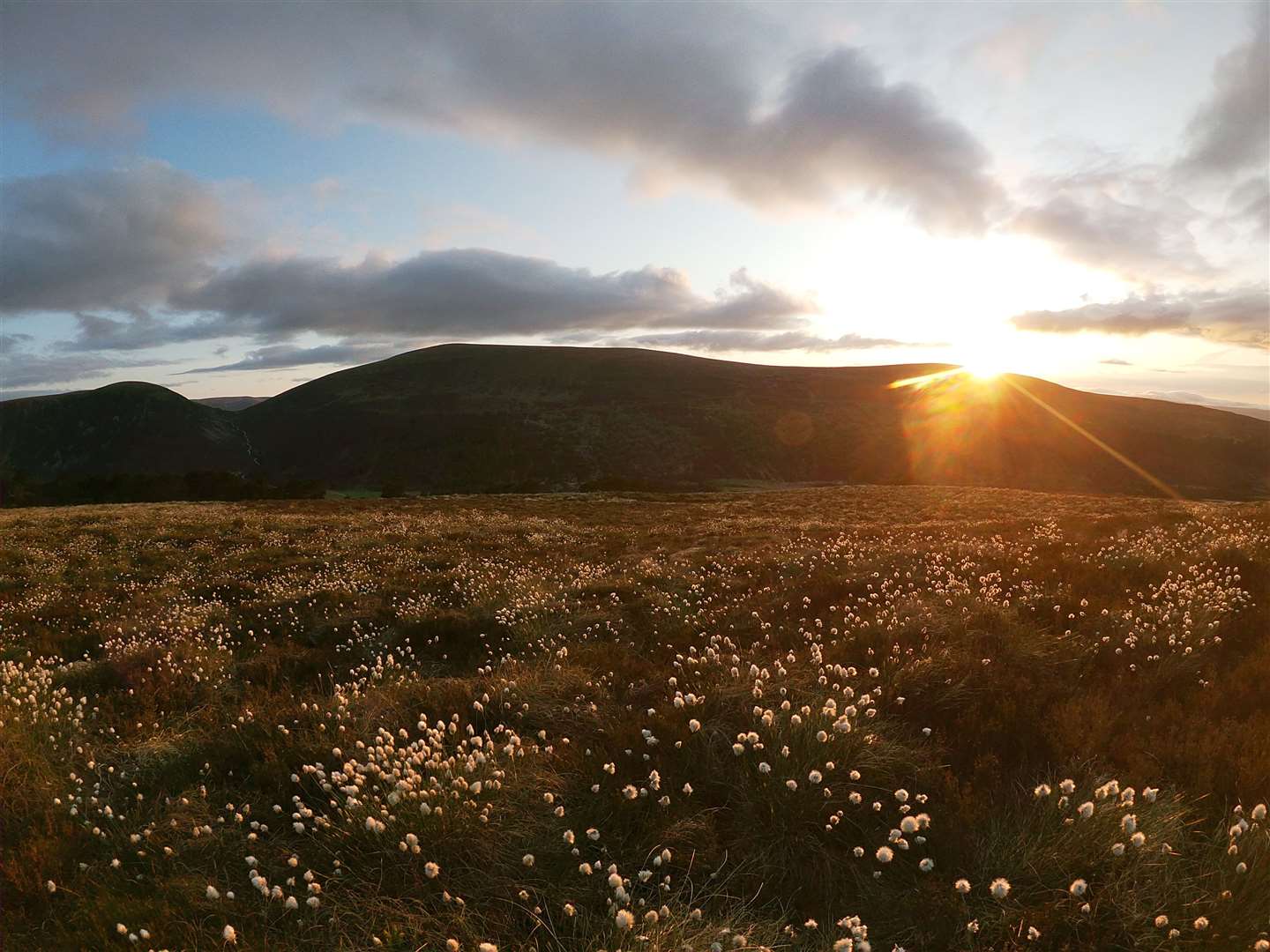 Sunset over Càrn Dearg Beag with the bog cotton glowing in the evening light.