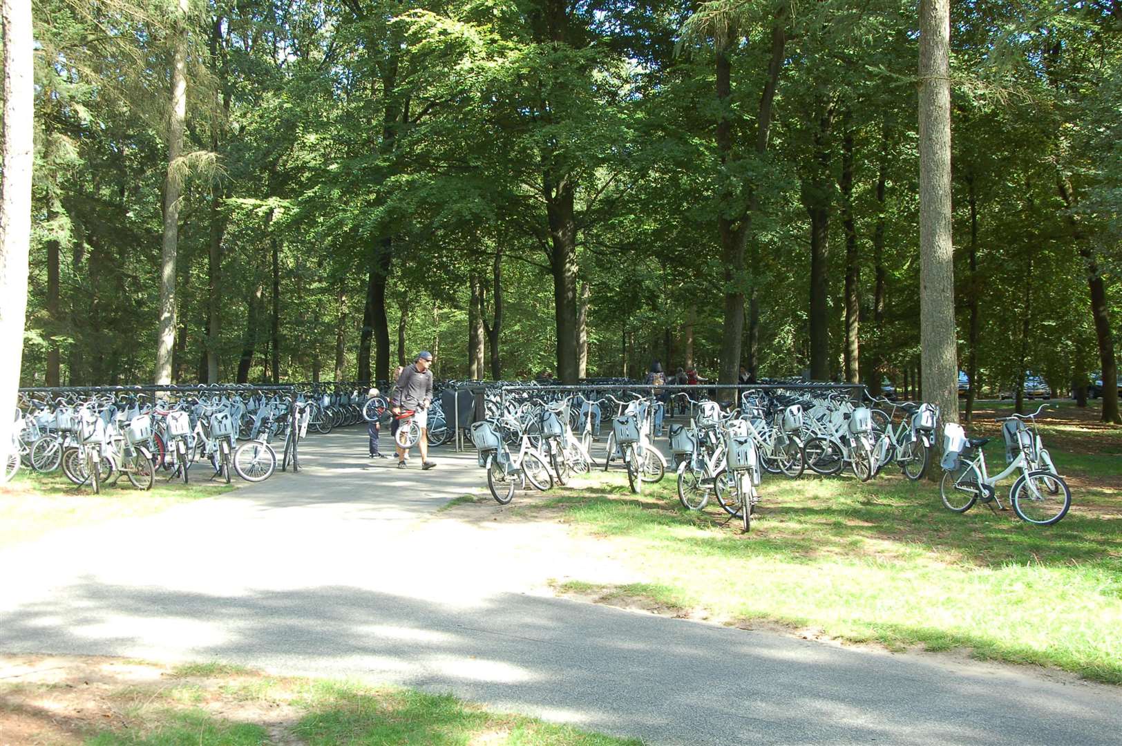 The free-to-use bicycles at one of the entrances to the Museum in the woods.