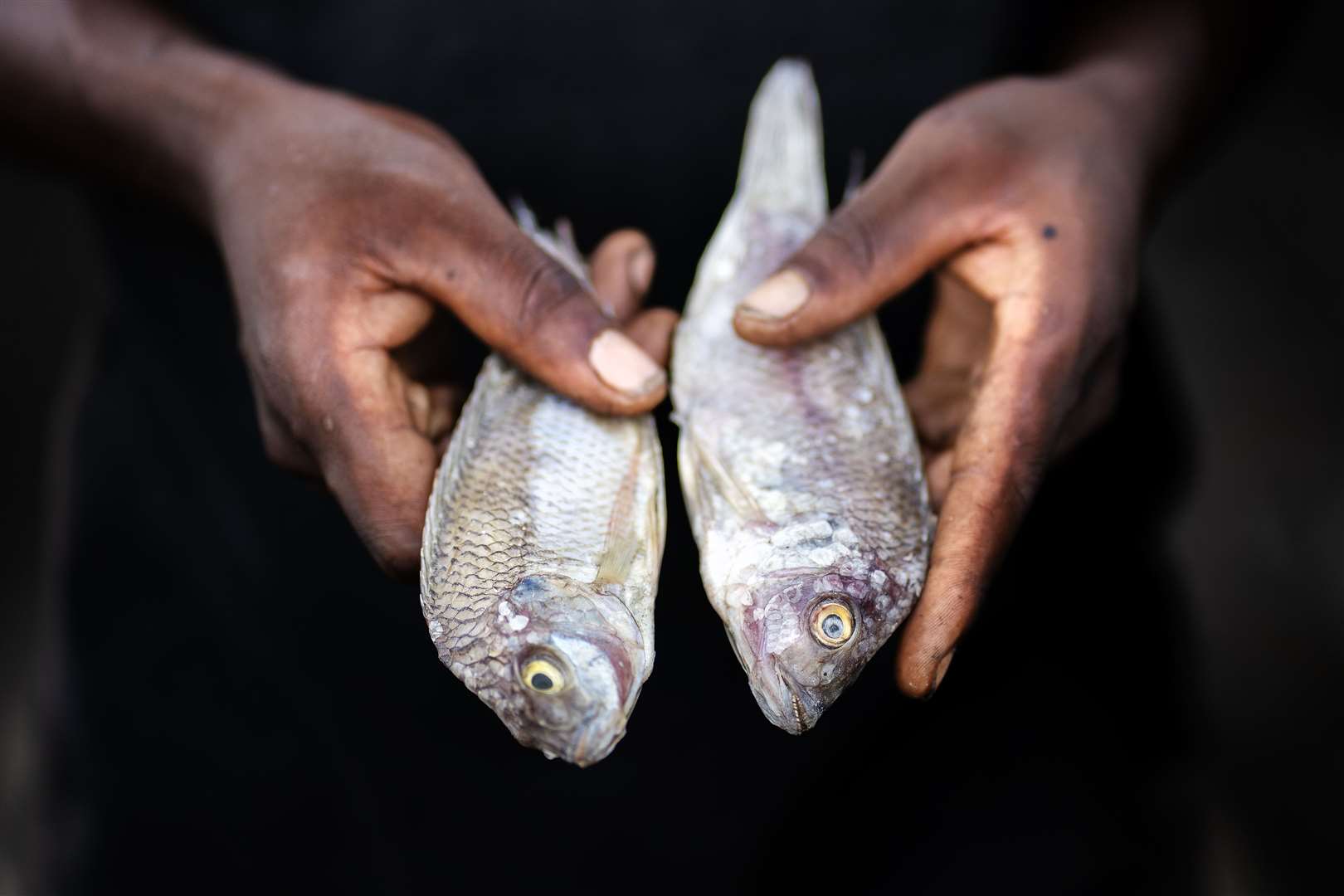 A man displays fish on the shores of Lake Chilwa (Brian Lawless/PA)
