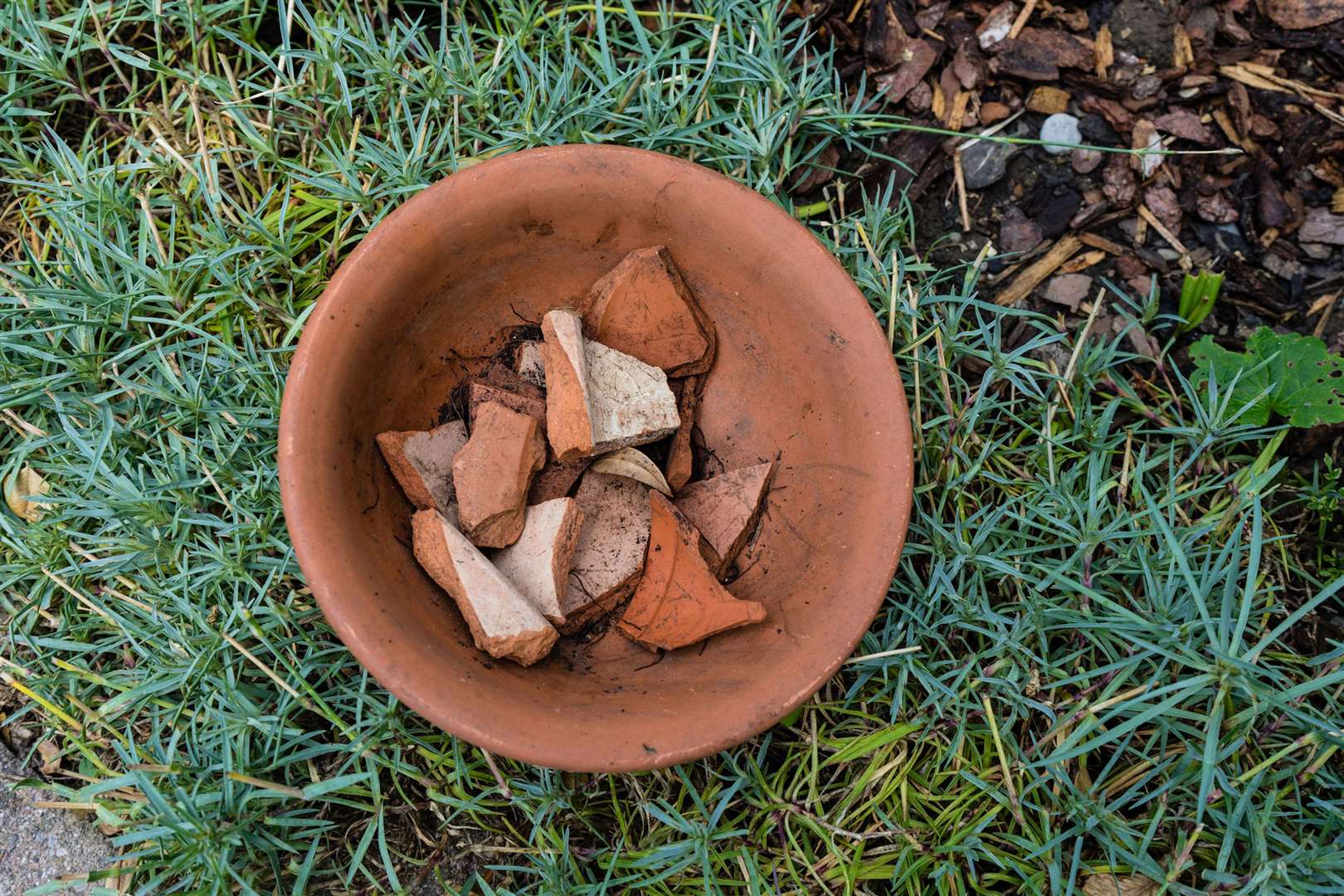 Broken ceramic pots can be reused to improve drainage.