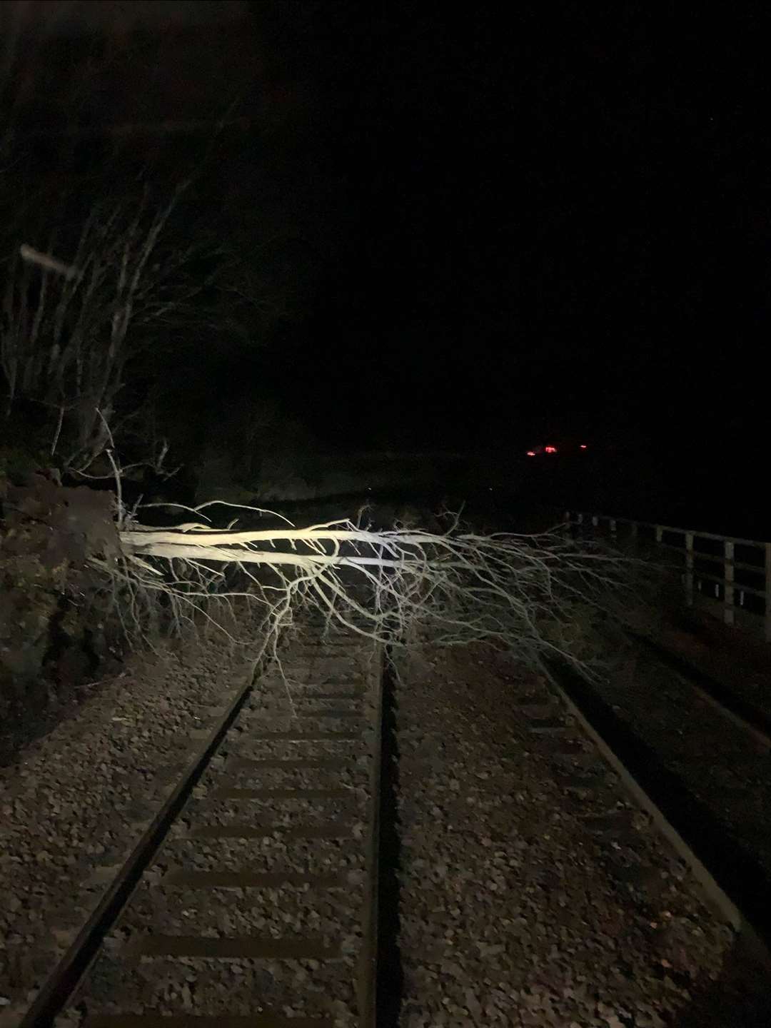 The fallen tree blocked both lines. Picture: Network Rail Scotland.