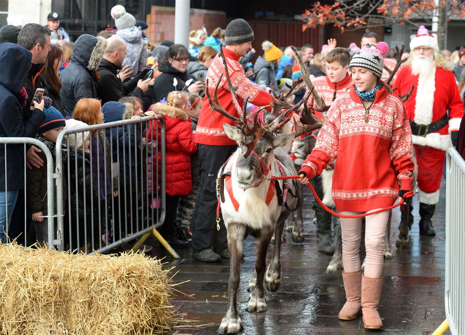 The reindeer arrive followed by Santa. Picture: Gary Anthony.