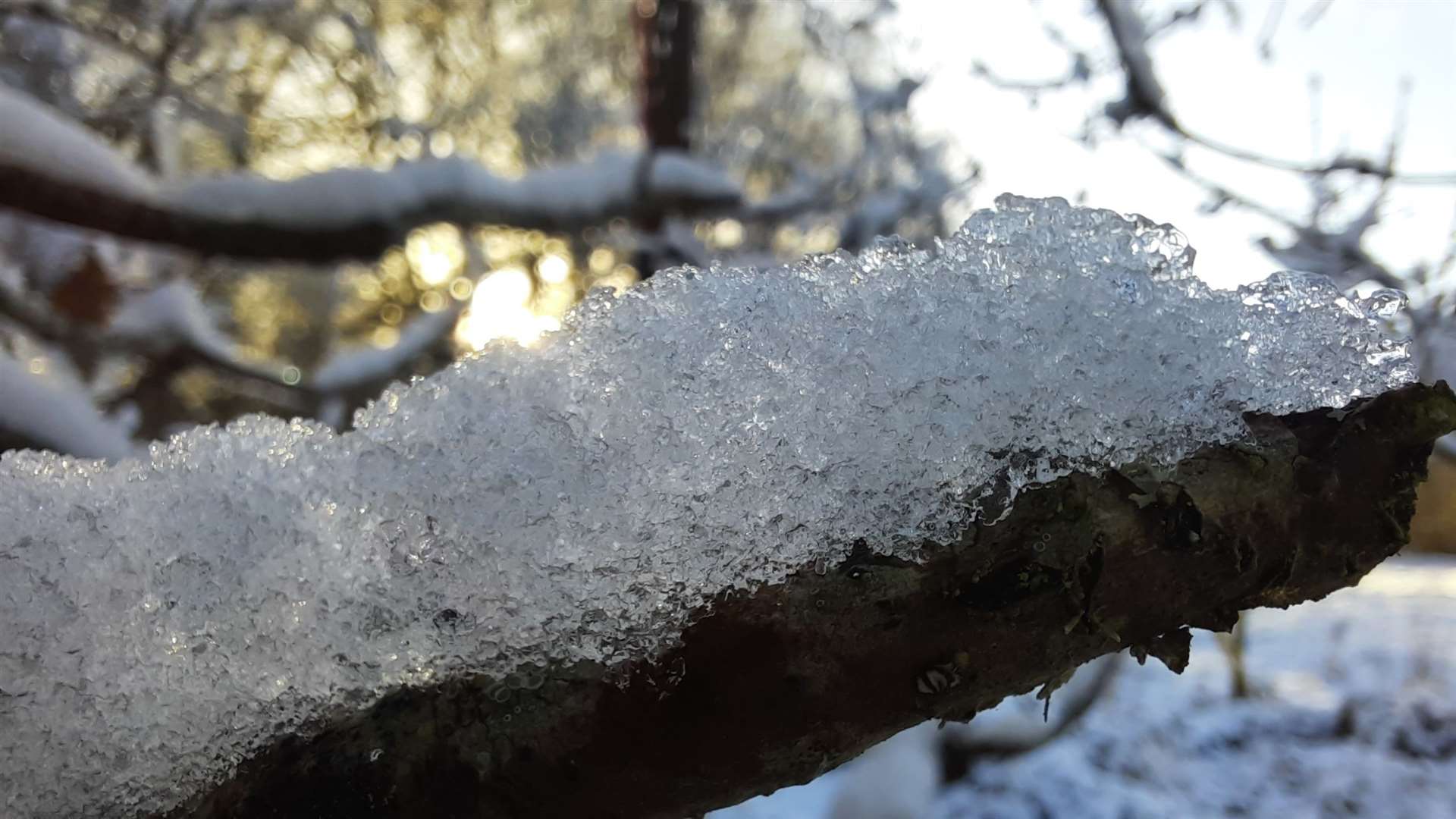 Taking a closer look at the snow and ice in the winter light.