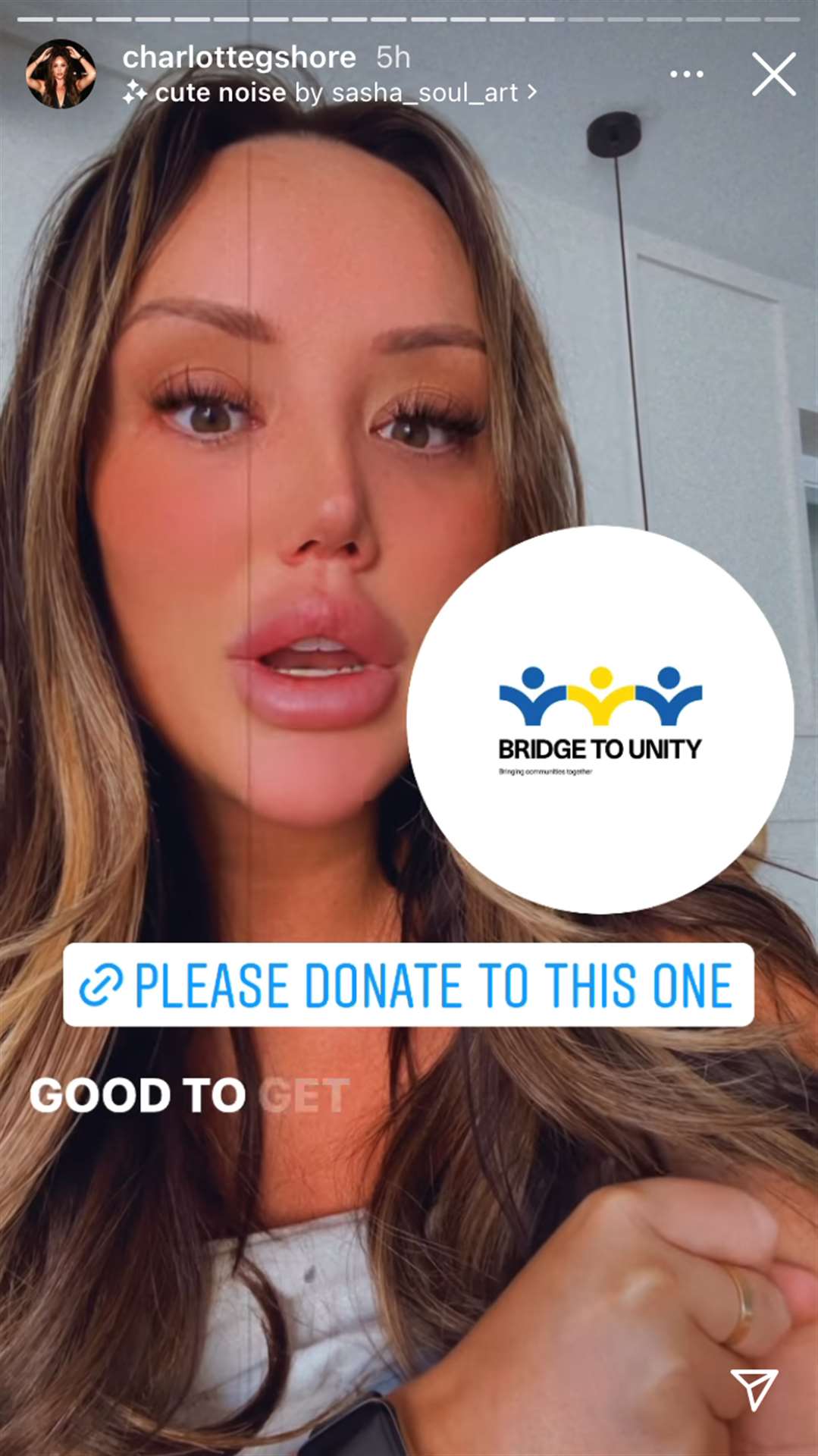 Charlotte Crosby’s story from March 1 which mentioned Bridge to Unity’s fundraiser (@charlottegshore/PA)