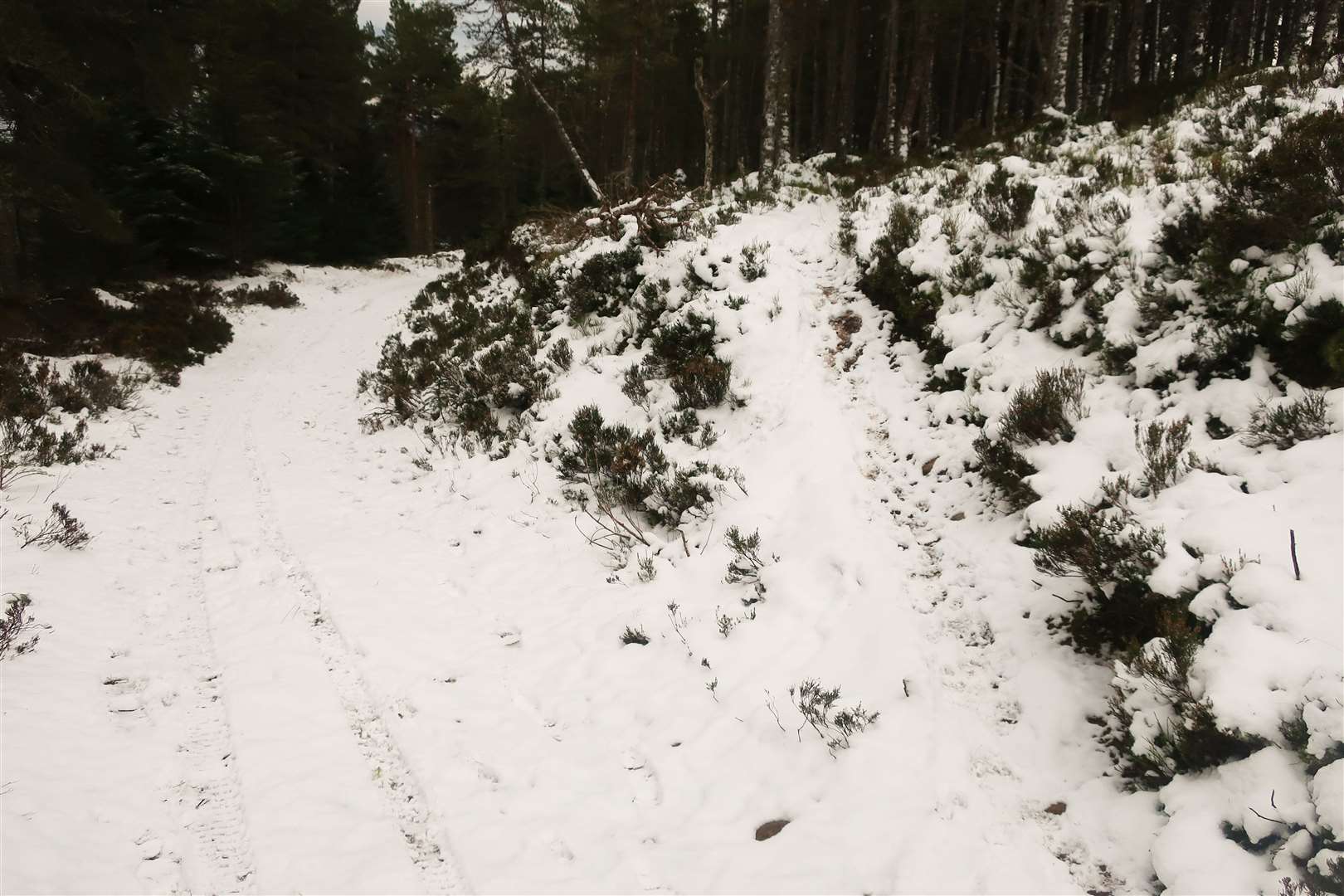 The path that leads to the monument on Creag Ruadh.