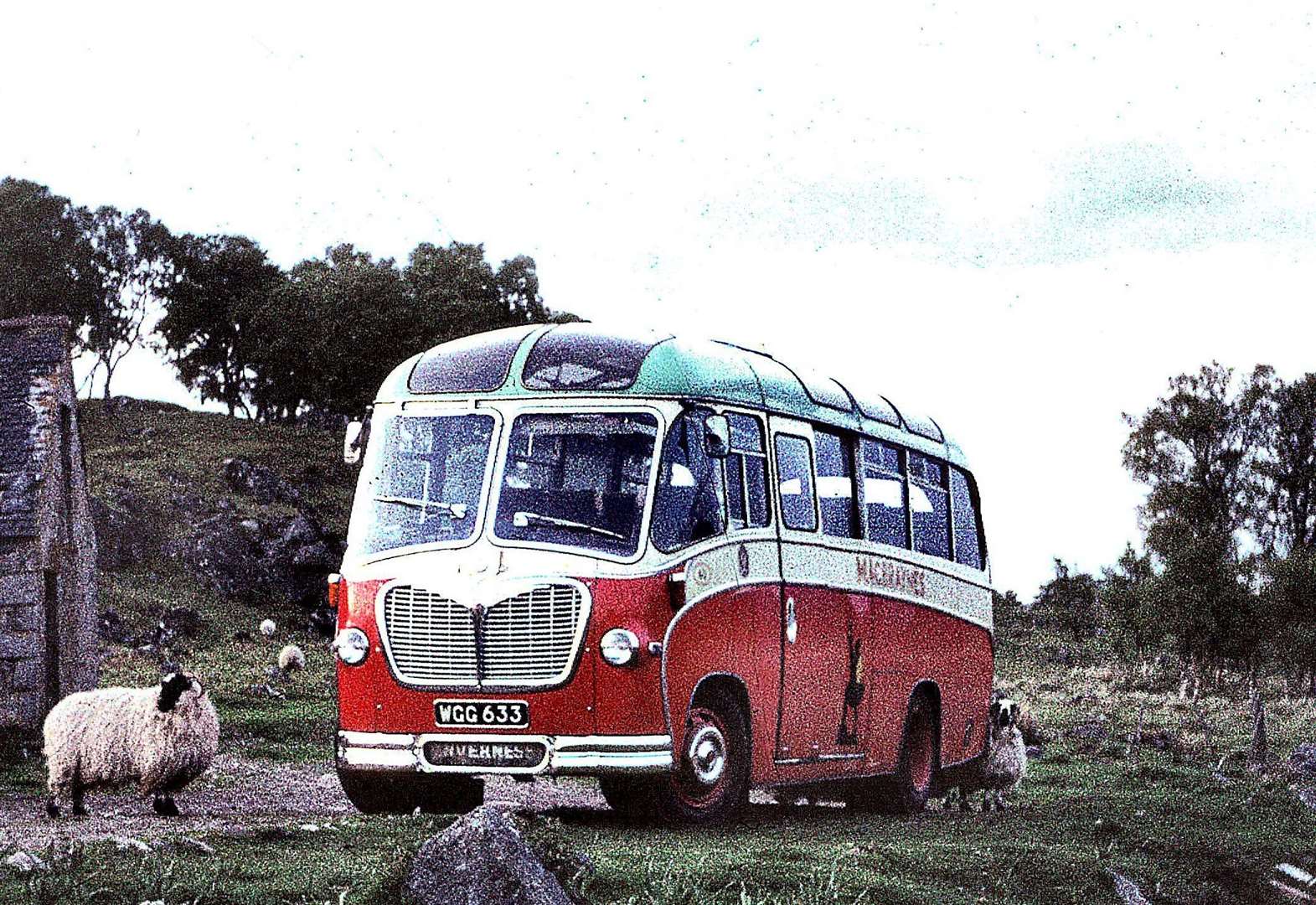 over 60 bus travel scotland