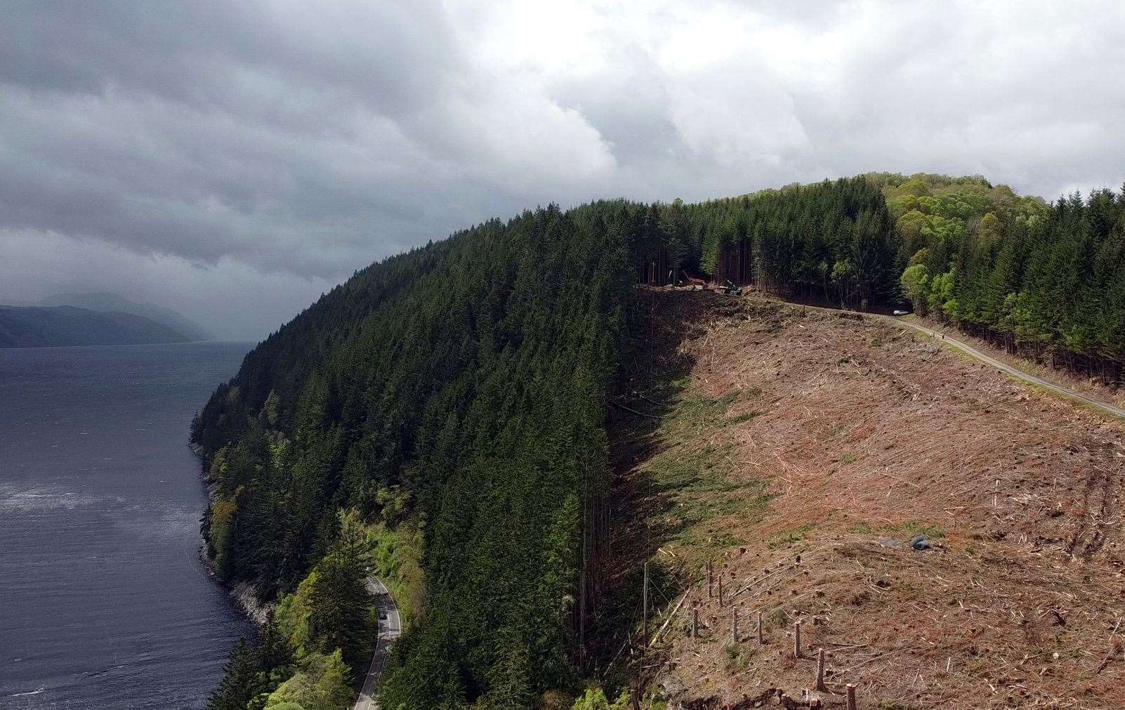 Some of the plantation tree felling has been on and next to extremely steep slopes. Picture: FLS.