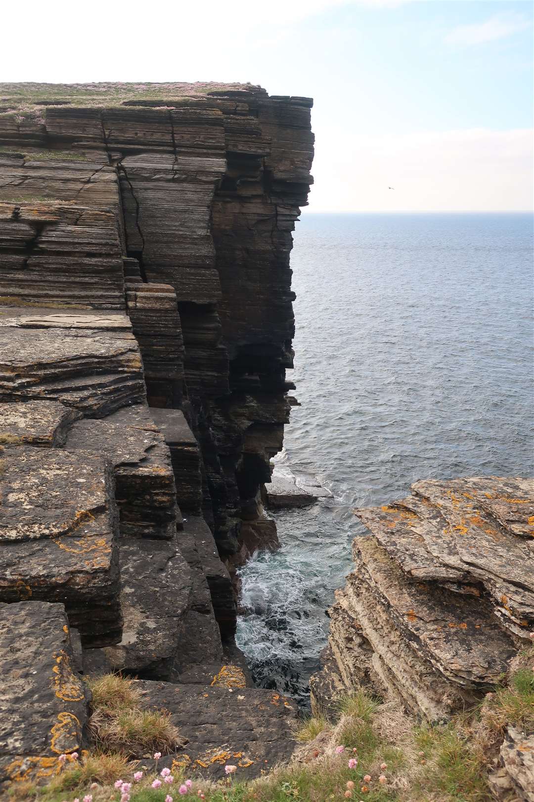 Dramatic sea cliffs plunge into the firth. Picture: John Davidson