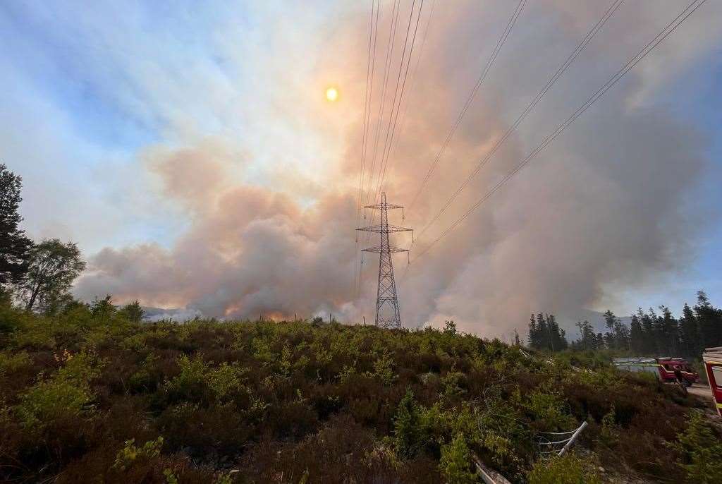 Impact of Cannich wildfire on RSPB Cormionny Nature Reserve, Scotland, May 2023