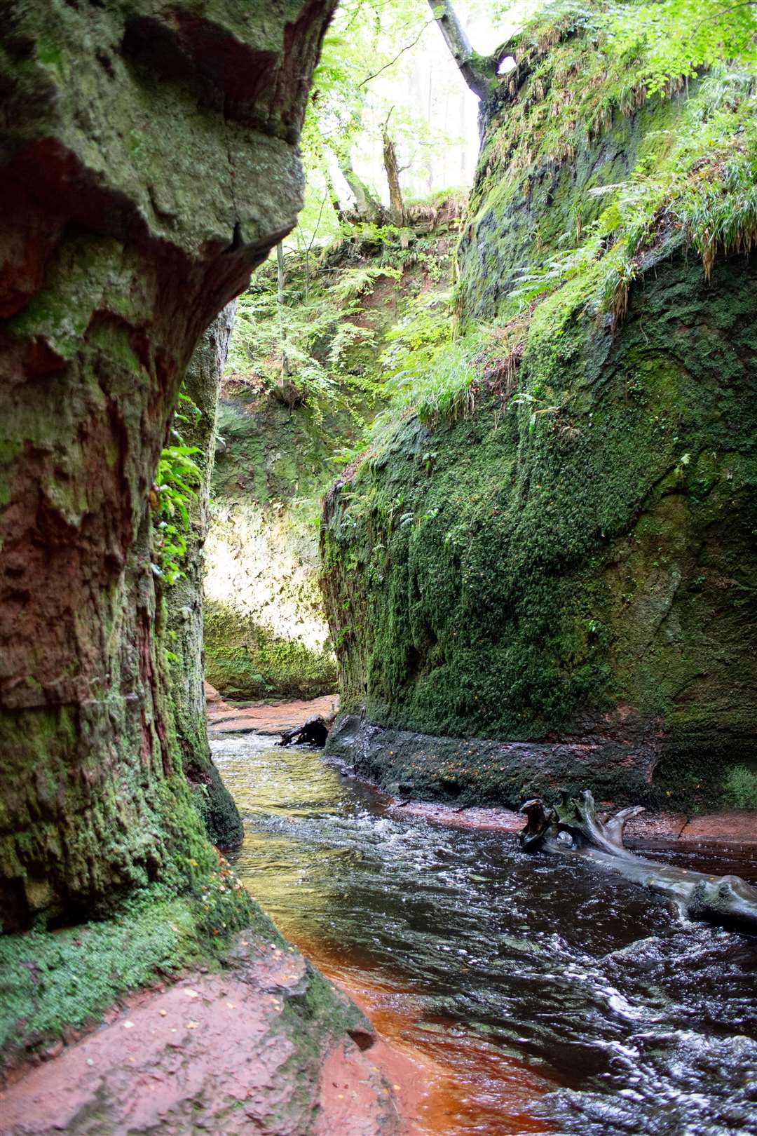 It is estimated around 70,000 people a year visit Finnich Glen (David Lozowy Photography/PA)