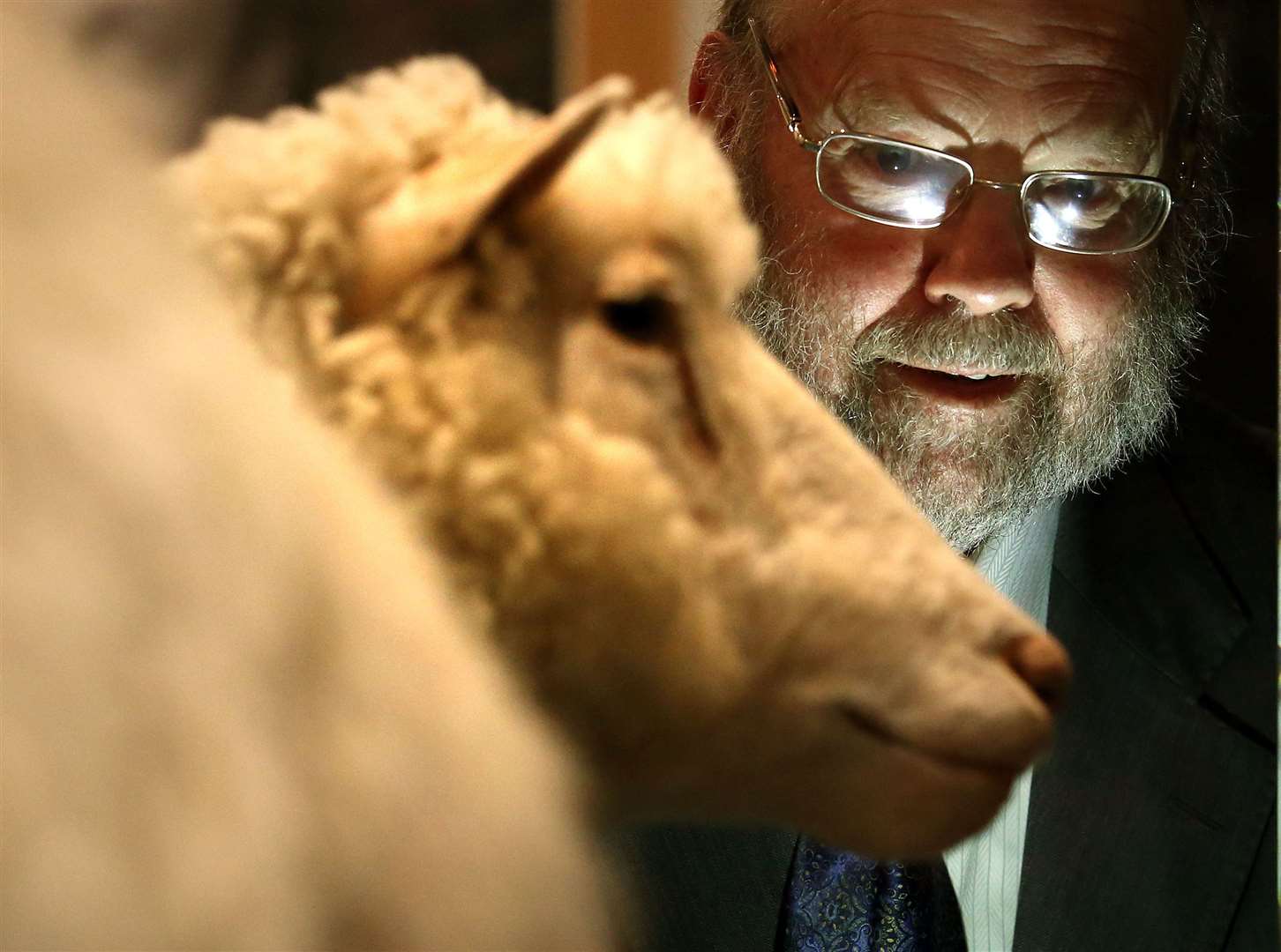 Dolly the sheep with embryologist Professor Sir Ian Wilmut at the University of Edinburgh’s main library exhibition gallery (Andrew Milligan/PA)