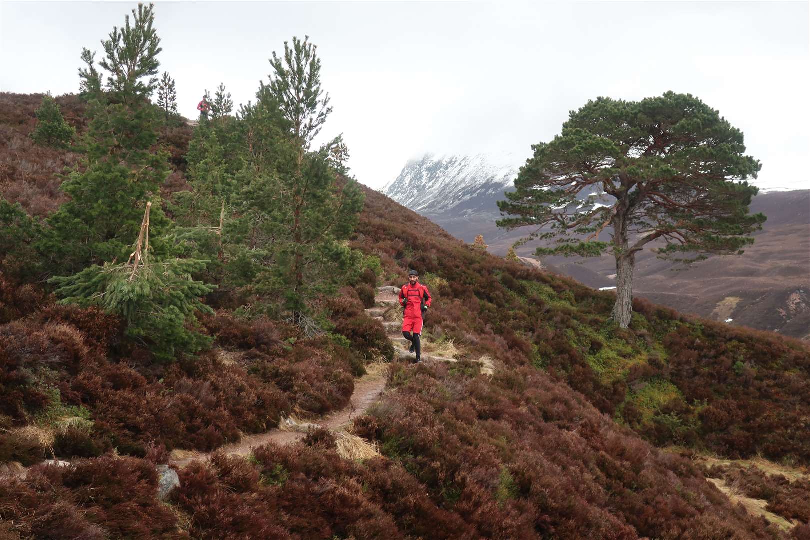 Balraj makes his way down the Lairig Ghru path into the forest.