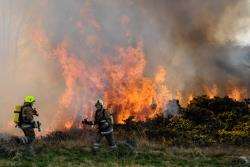 A firefighter tackling a wildfire on moorland between Daviot Wood and Milton of Leys during a previous spring.