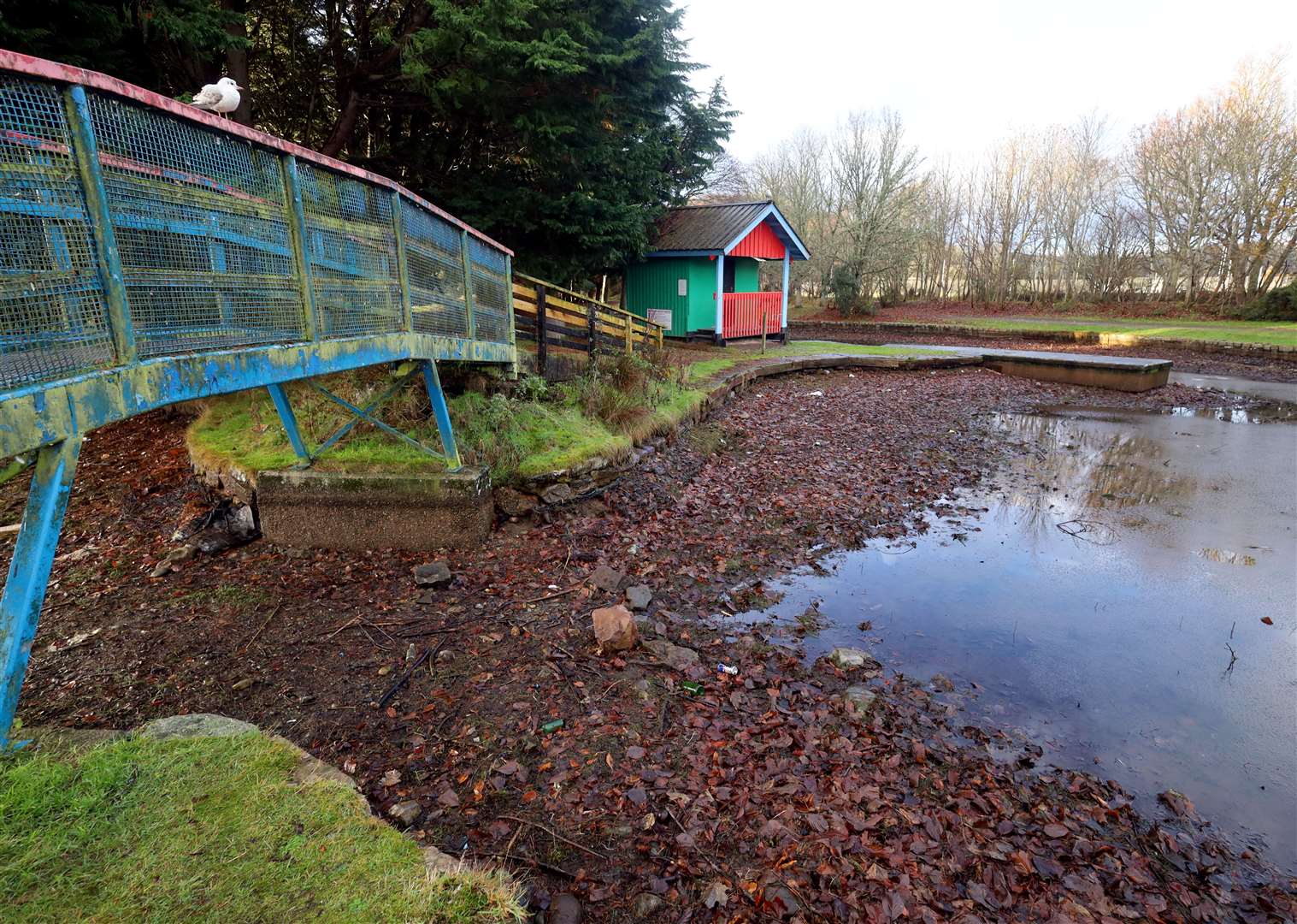 A programme of improvements is planned for Whin Park. Picture: James Mackenzie