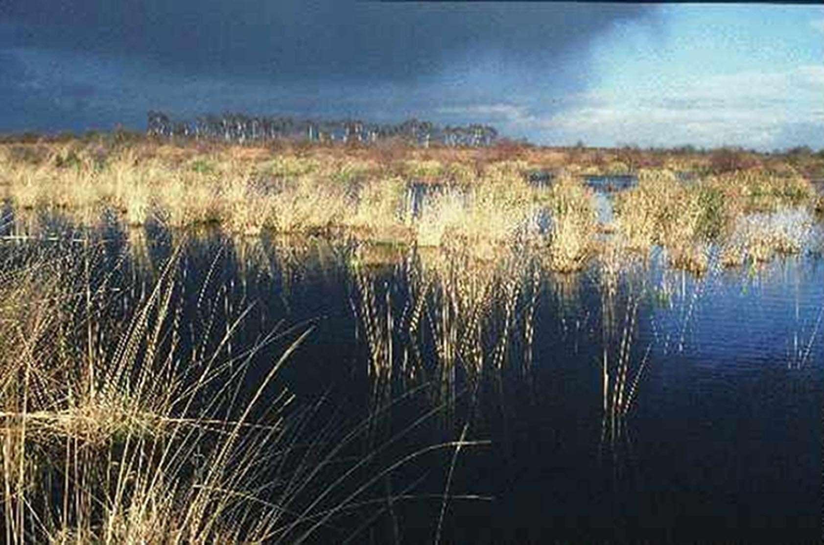 The Humberhead Peatlands National Nature Reserve (Natural England/PA)