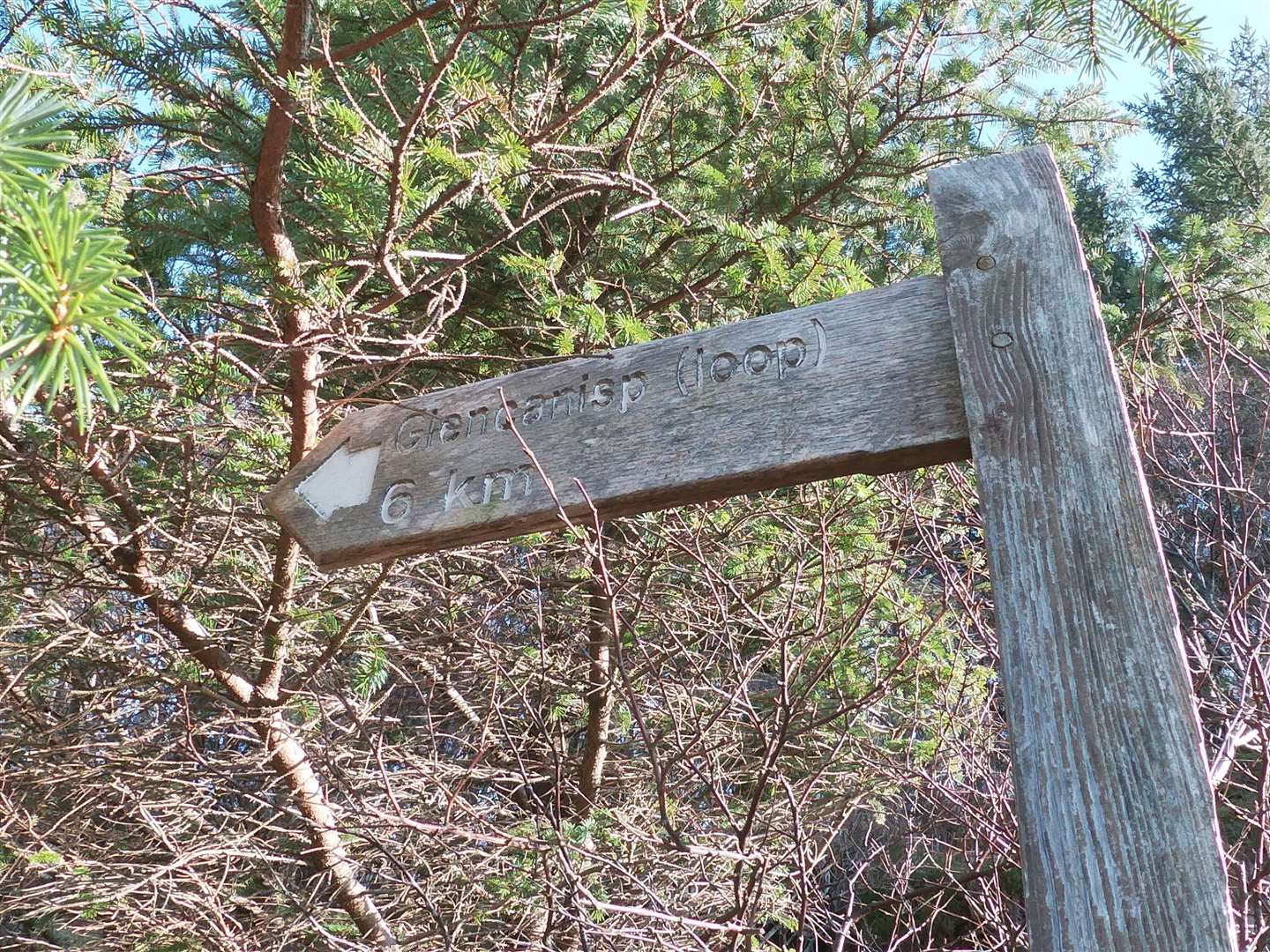 Sign for the Glencanisp loop.