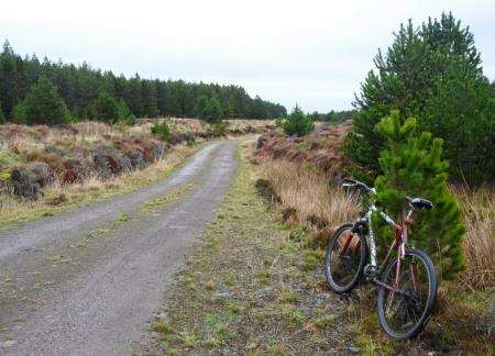 That’s more like it: on the Camster cycle trail after the boggy confusion of the section inland from the Hill o’ Many Stanes.