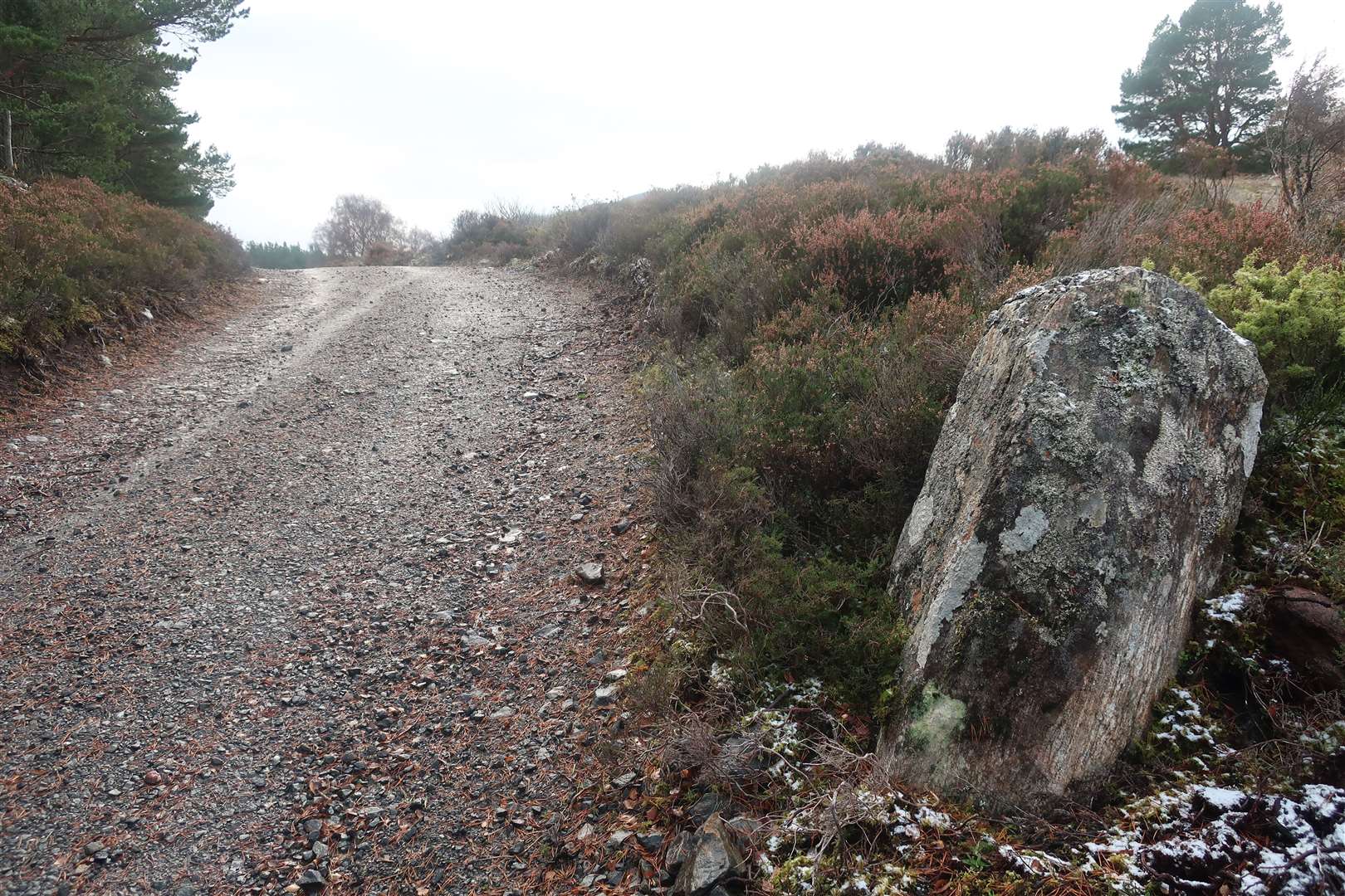 A possible Wade marker stone on the route near Brackletter.