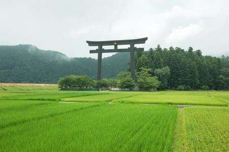 The biggest Torii gateway in the world stands in the rice paddies at Kumano Hung Taisha