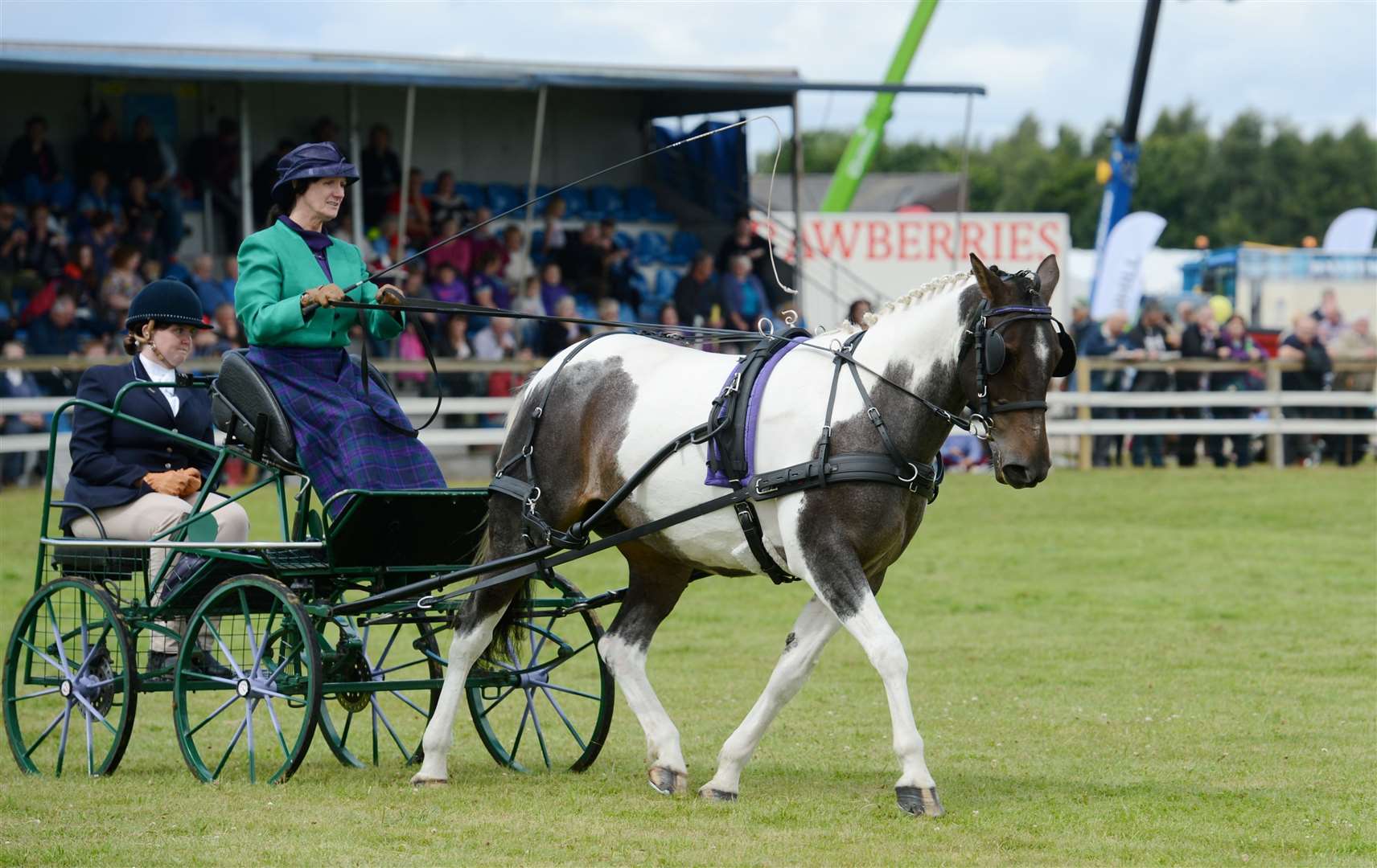 Black Isle Show takes place on July 31 to August 1. Picture: SPP