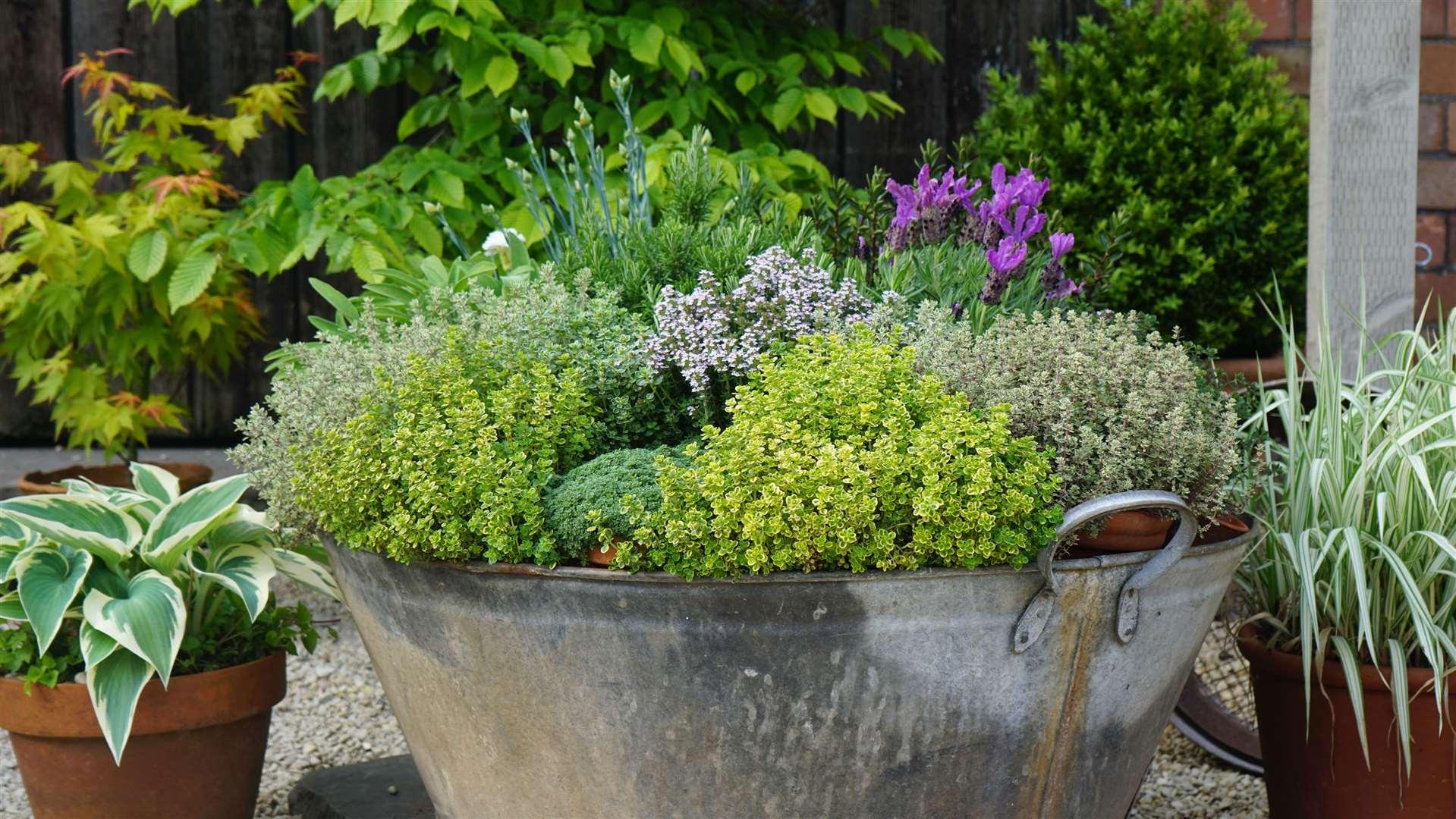 Pots of herbs positioned together in a larger container. Picture: Tom Harris/PA
