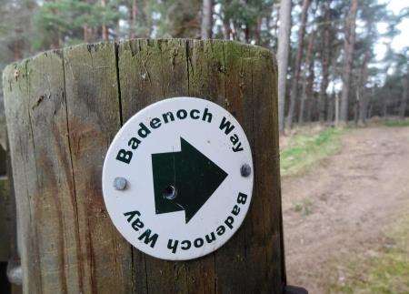 Badenoch Way marker at forest entrance.