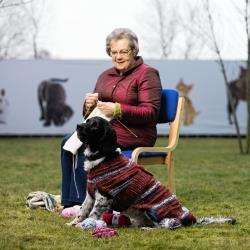 SWI knitter Winnie Anderson at work on an eye-catching dog jacket.