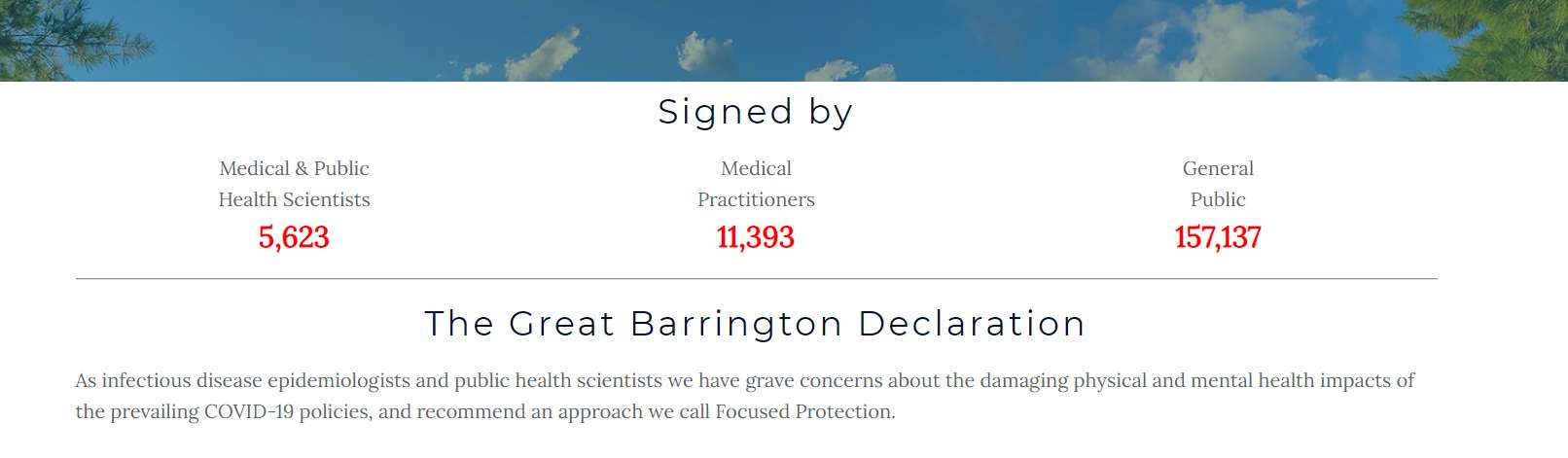 The Great Barrington declaration claims to have been signed by over 15,000 scientists and medical practitioners (Screengrab/gbdeclaration.org)