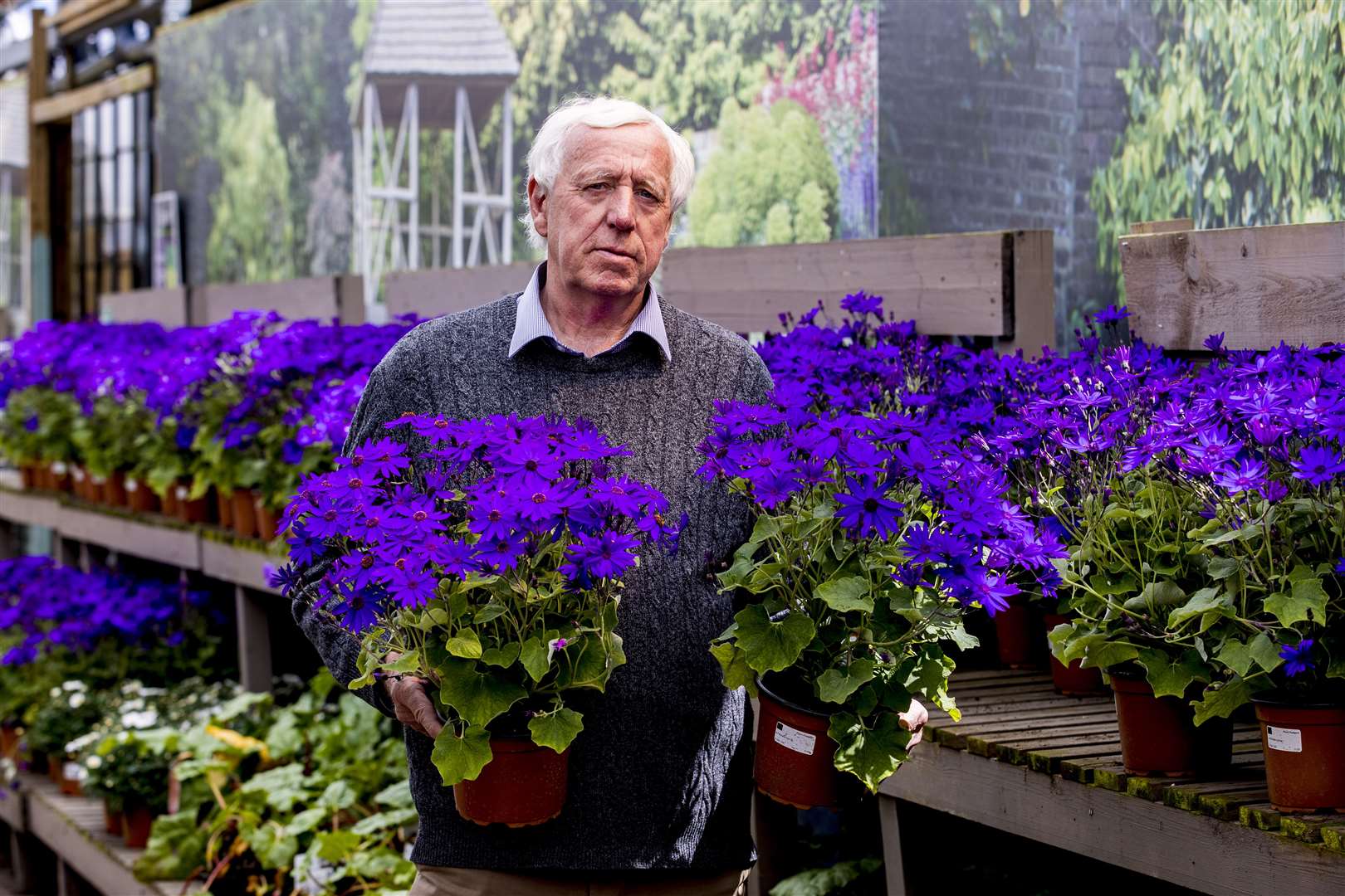 Robin Mercer, owner of Hillmount Garden Centres, is among those voicing concern about an inability to import certain plants and seeds from Great Britain (Liam McBurney/PA)