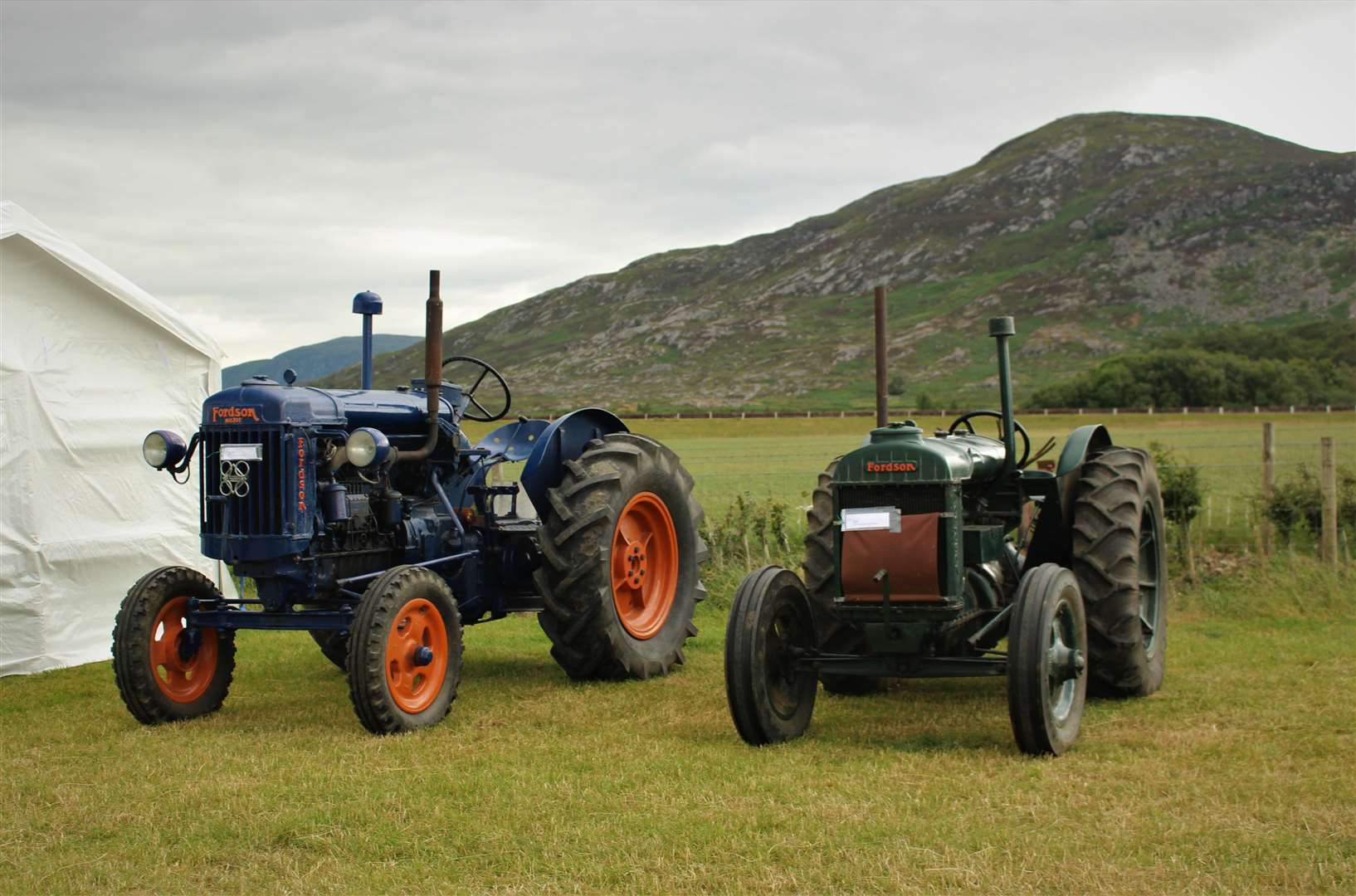 Tractors at the gathering last year.