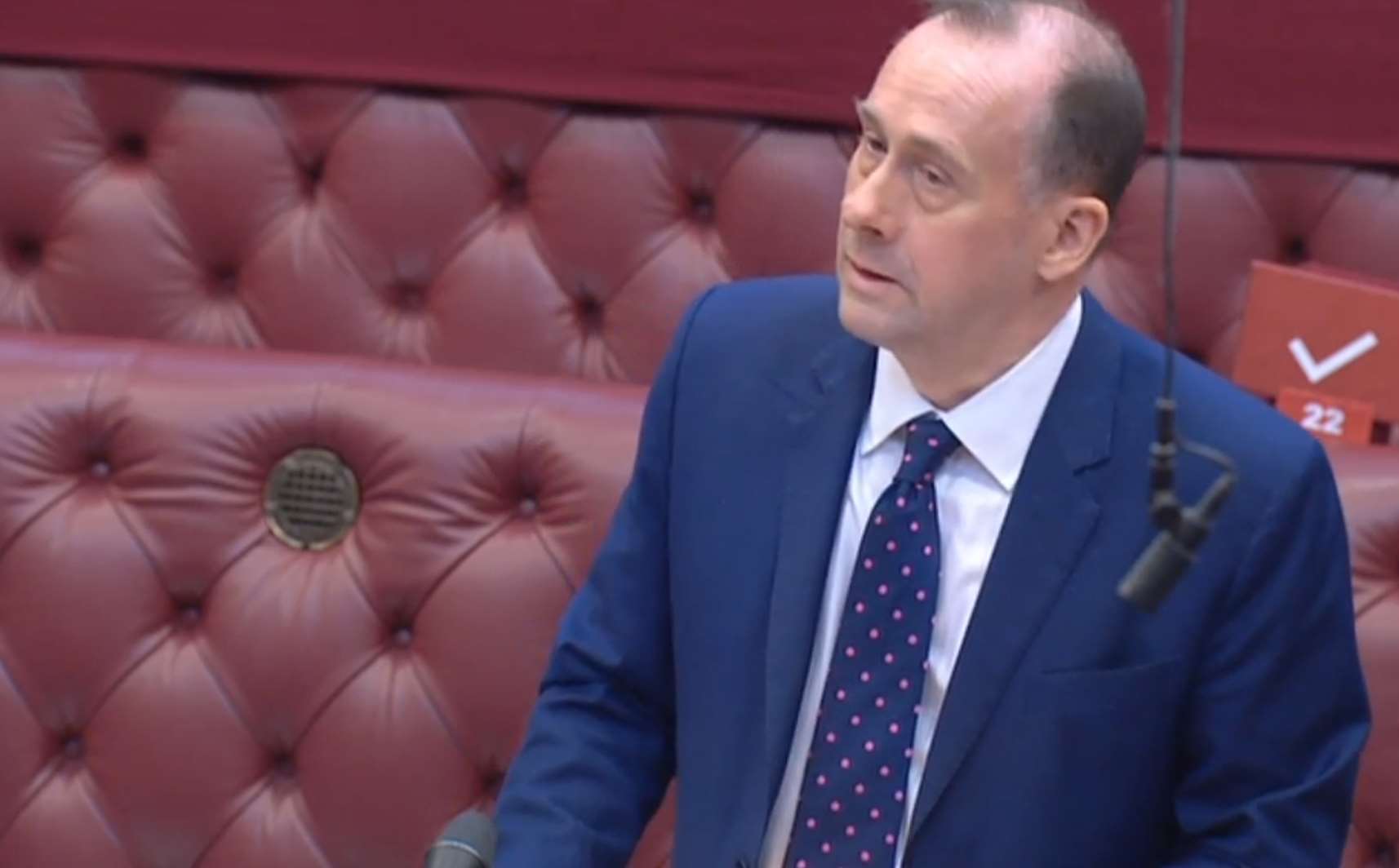 Business minister Lord Callanan addresses peers during a debate on coronavirus regulations (PA)