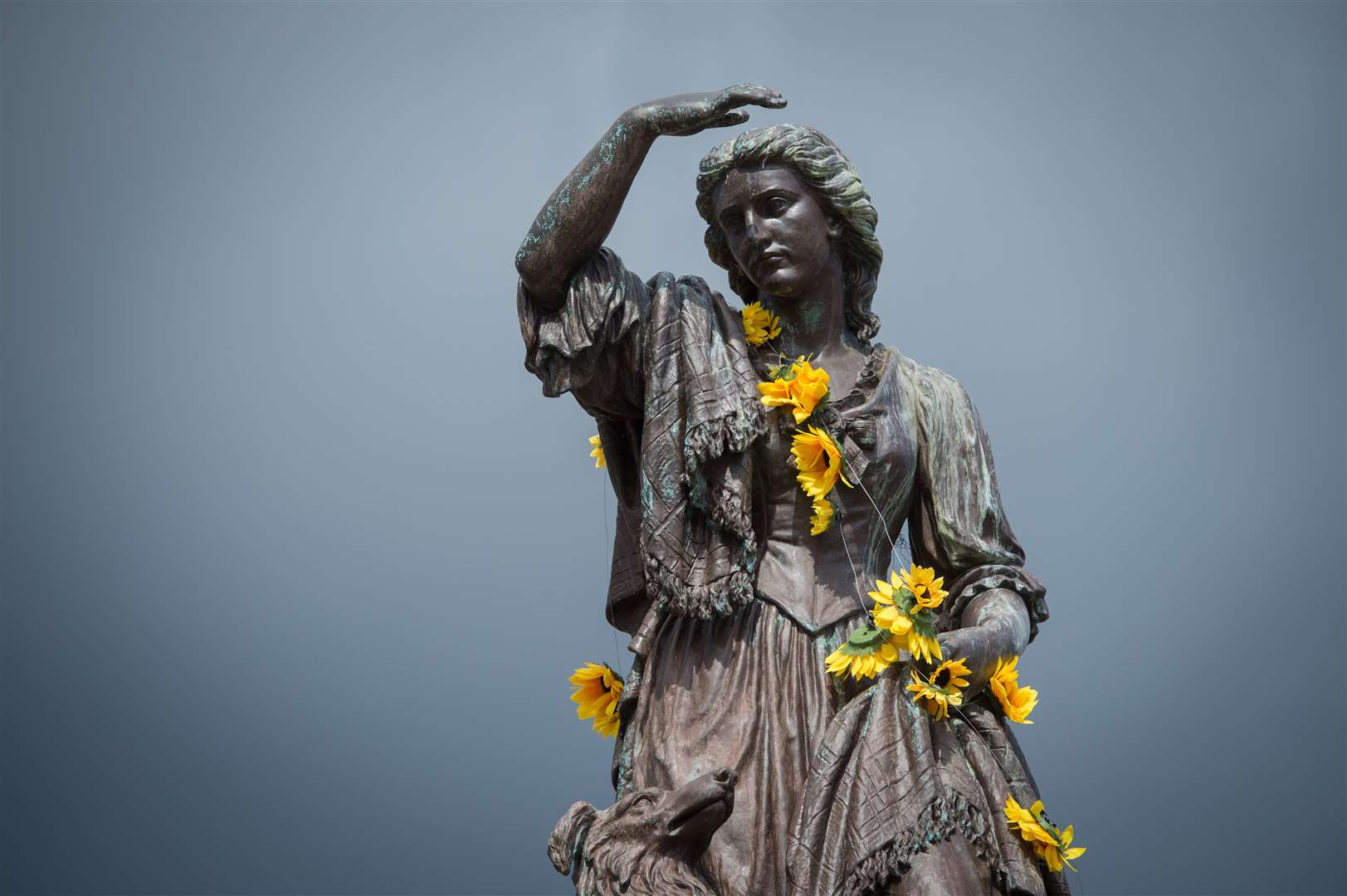 The Flora Macdonald Statue at the Castle adorend with Highland Hospice sunflowers....Picture: Callum Mackay. Image No..